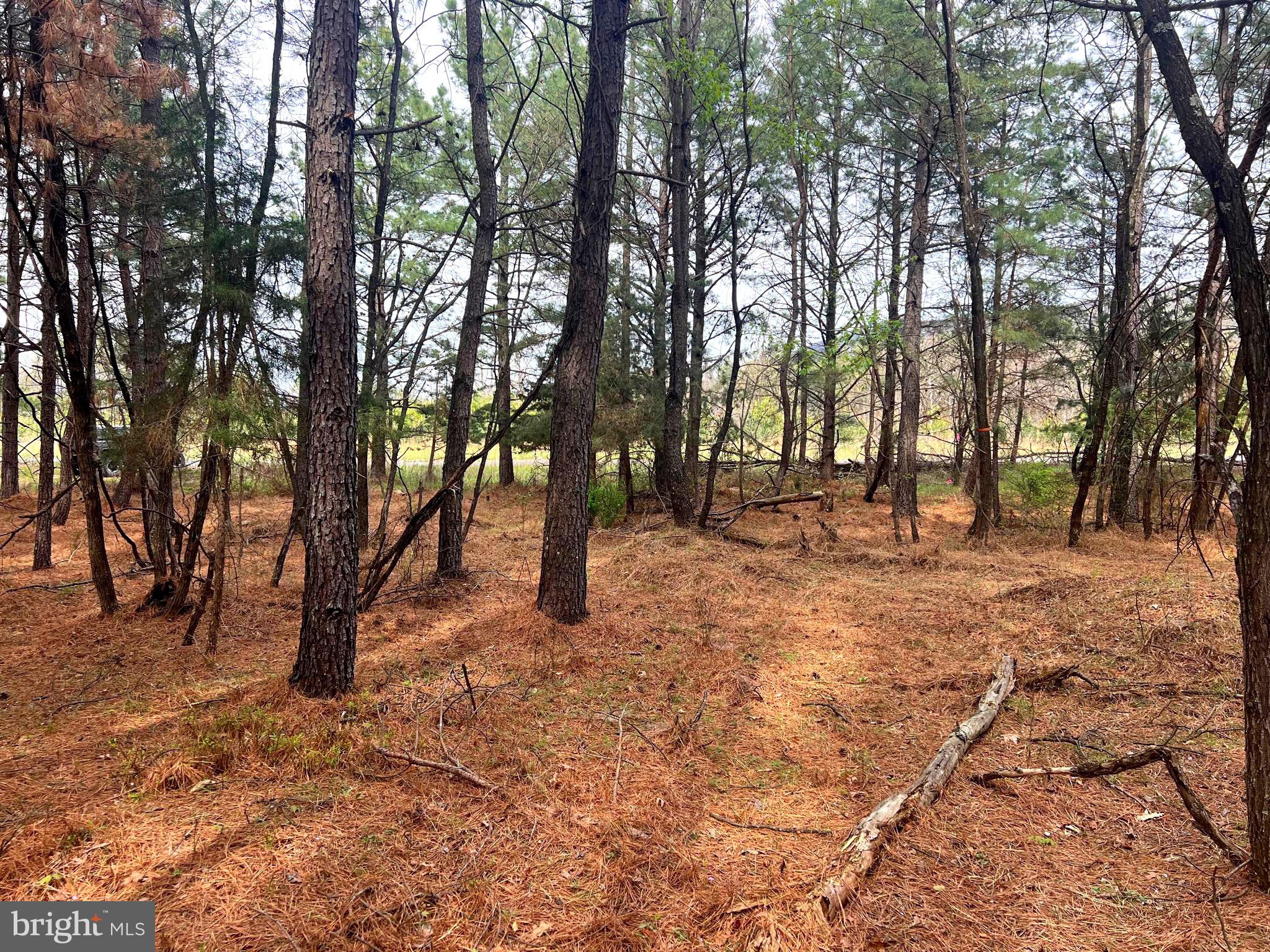 ASHTON WOODS - Land