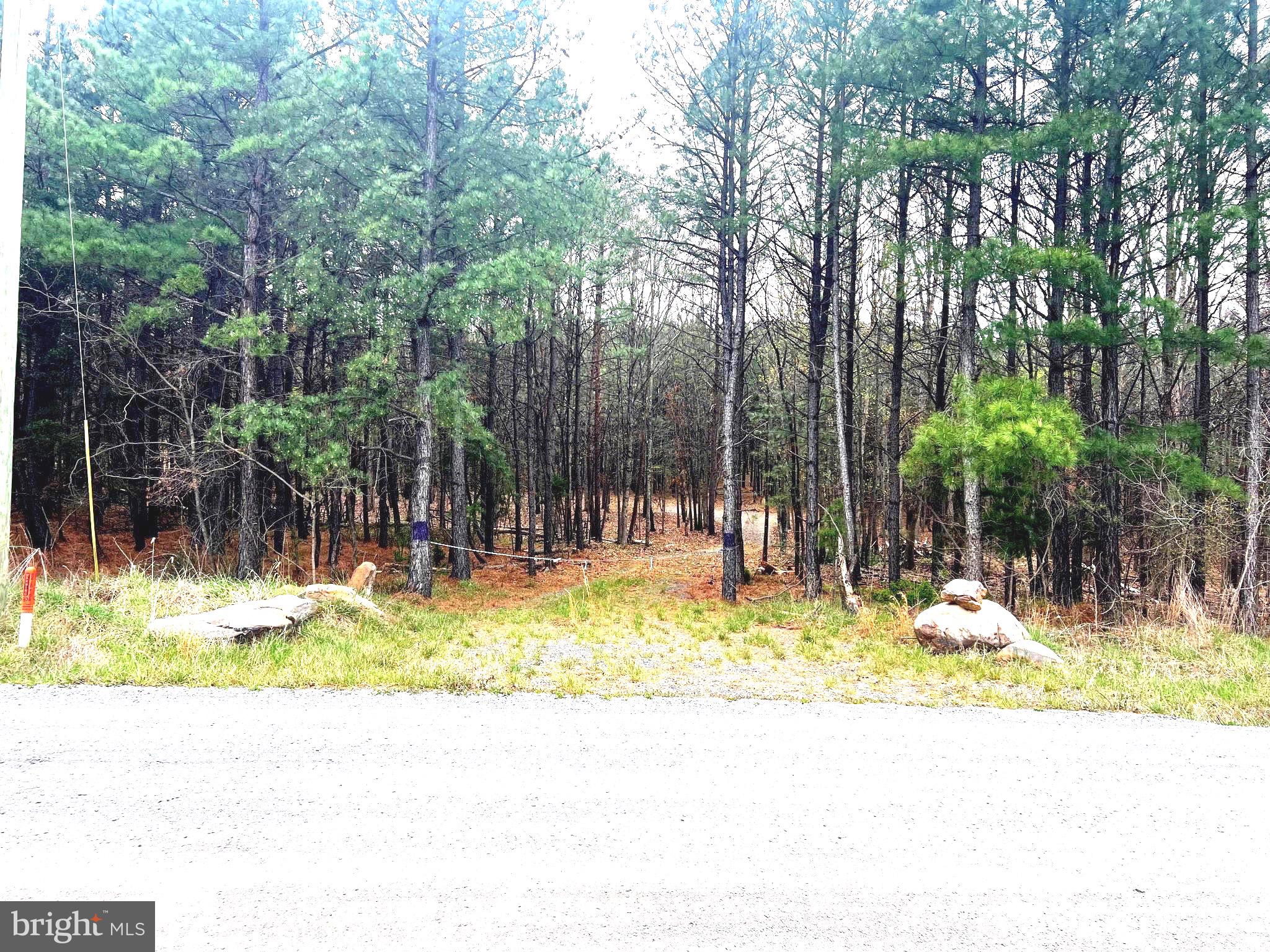 Back on market!!! This  twenty acre tract  has great build sites and plenty of privacy if you choose, or you could build at the perch site for easy access! The lot is flat, to sloped and rolling with plenty of open and wooded areas that are perfect for hunting and views to the northeast. Ashton Woods joins ten thousand acres of WMA and numerous roads to explore the flora and fauna! Public access to the South Branch of the Potomac River and  the renowned "Trough" is only a couple of miles away. Moorefield is only eight miles away with an exit off Rt. 48/four lane. Davis, Canaan Valley, Seneca Rocks, Winchester, VA are all within an hour.
A great location for a permanent home or a hunting or vacation getaway! Driveway installed to a cleared area for build site or parking/camping.