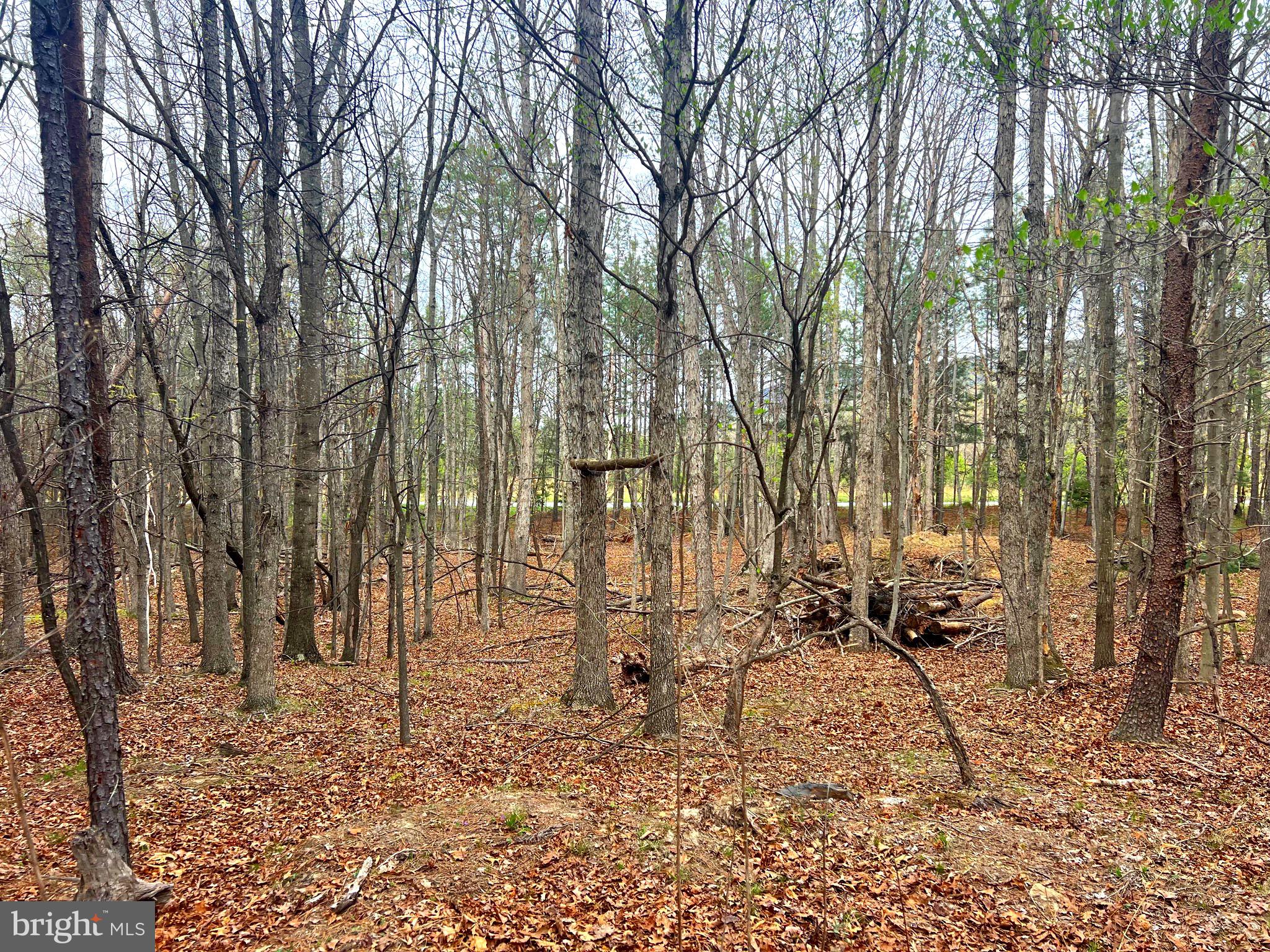 ASHTON WOODS - Land