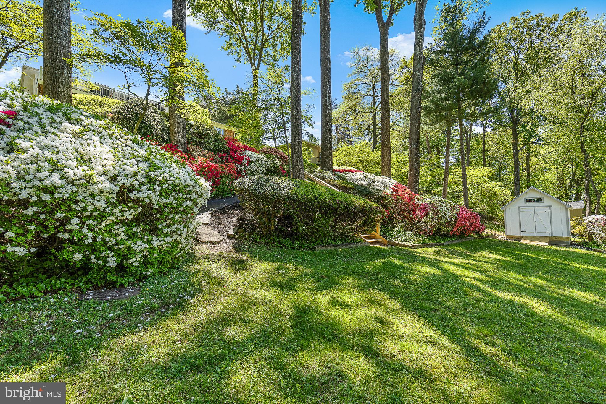 LAKE BARCROFT - Residential