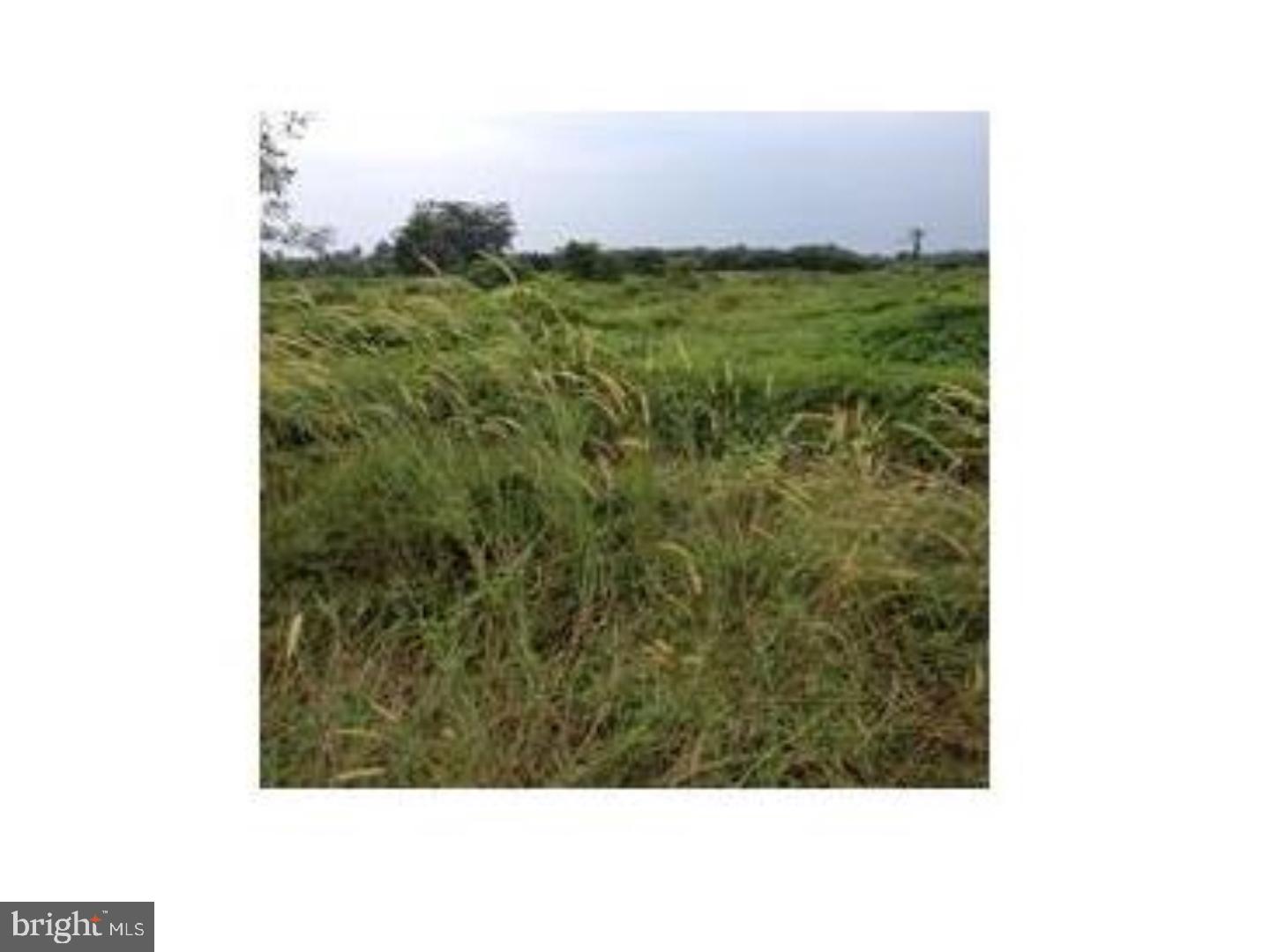NONE AVAILABLE - Land