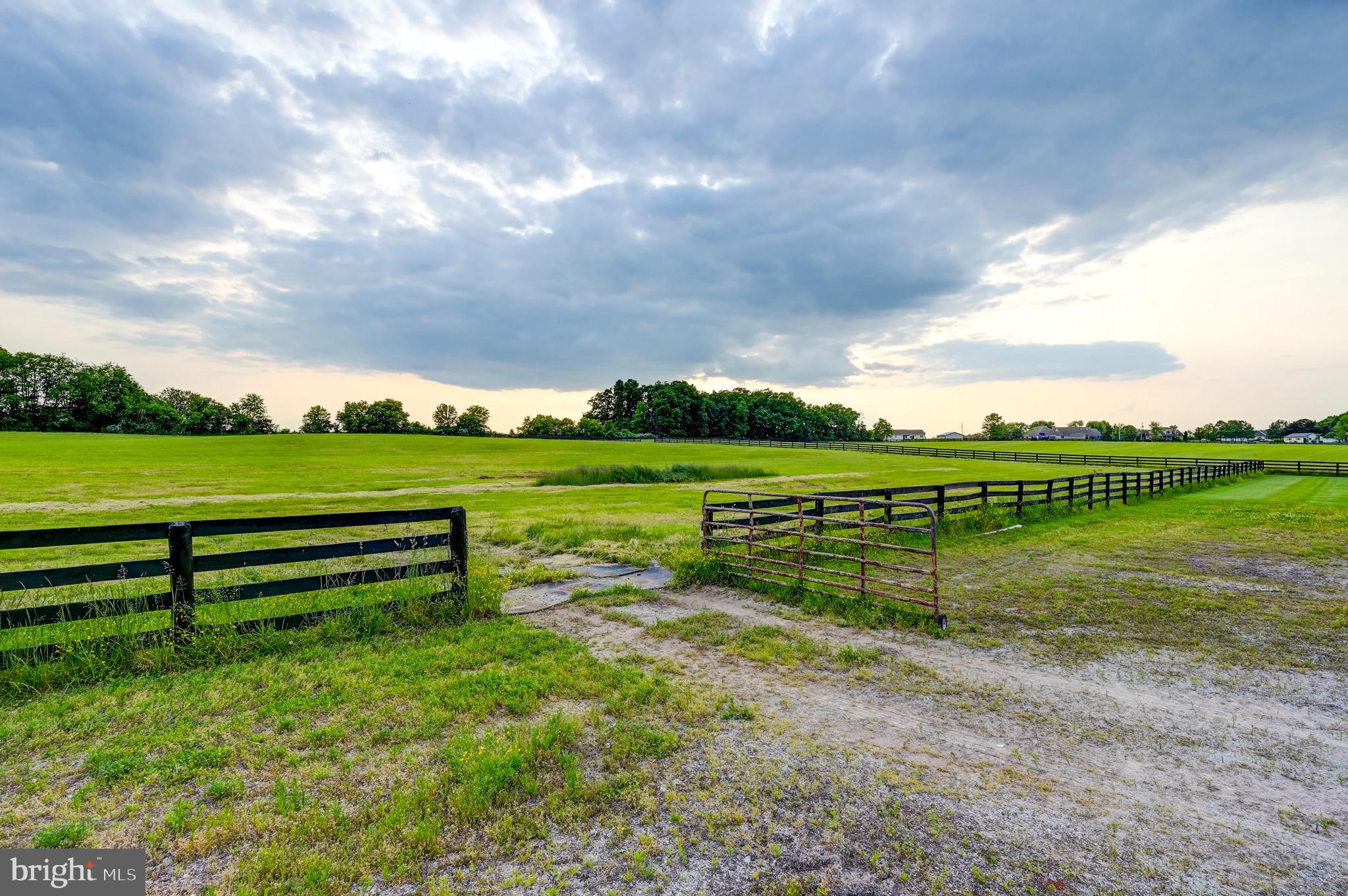 NONE AVAILABLE - Farm