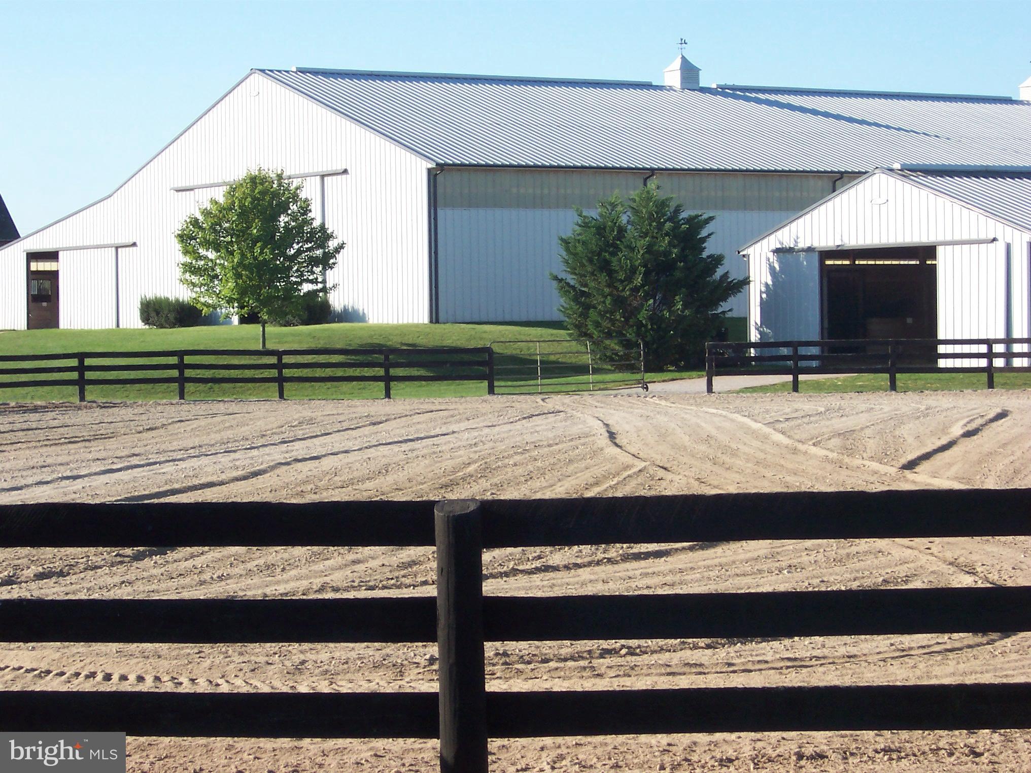 NONE AVAILABLE - Farm