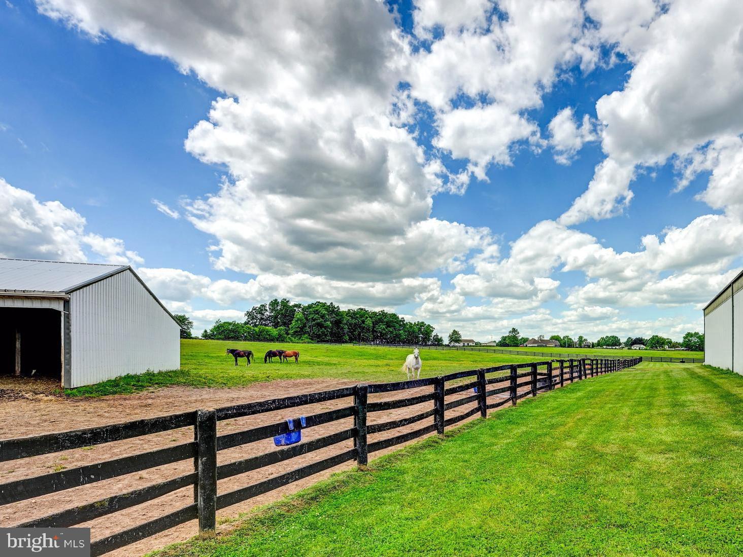 NONE AVAILABLE - Farm