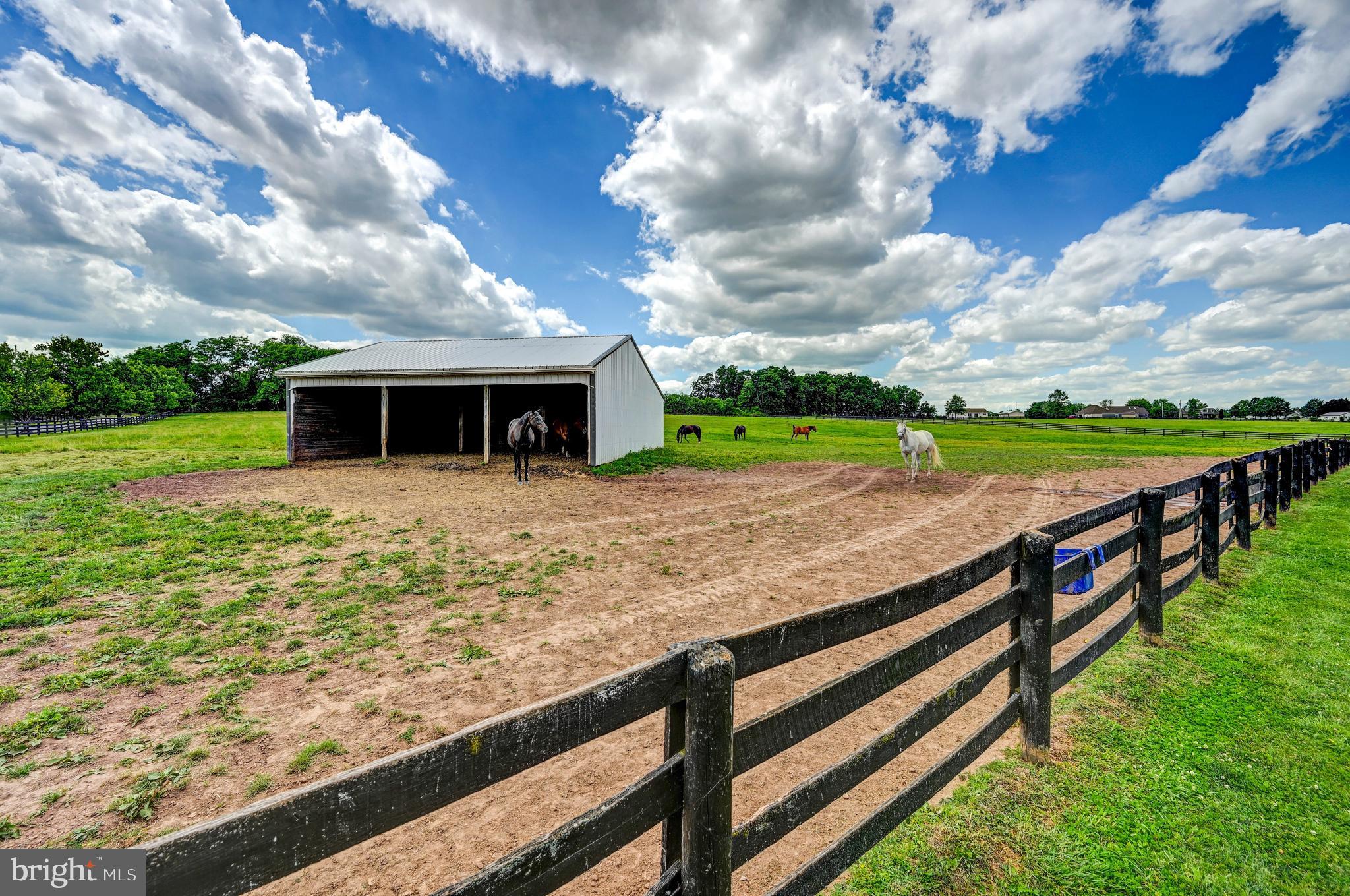 NONE AVAILABLE - Farm