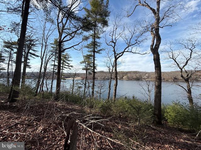 LAKE HOLIDAY ESTATES - Land
