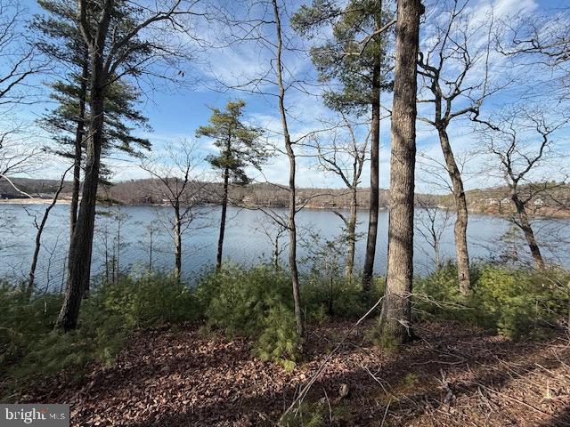 LAKE HOLIDAY ESTATES - Land