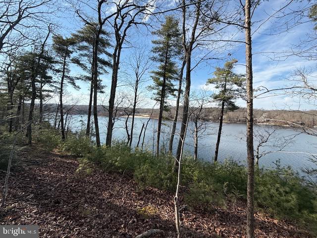 LAKE HOLIDAY ESTATES - Land