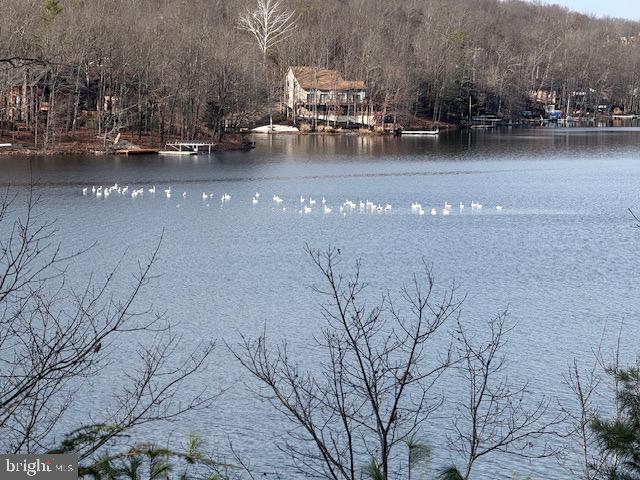 WATER FRONT LOT with EXPOSURE to the WIDE OPEN part of the LAKE with views of the MAIN BEACH and CLUB HOUSE diagonally to the west across the lake.  A quiet and peaceful setting for all your outdoor and lake activities. 
A unique opportunity to enjoy the elevated view of beautiful Lake Holiday -  a pristine 240 Acre Lake only 15 minutes NW of Winchester Va,.  This lot takes in the wide lake views and to the left you can see Beach 1.  This is a membership parcel and not buildable, used for recreation and accessed via a solid gravel road.  You will travel  only 1 mile on gravel to reach this elevated parcel with a gentle slope about 2/3's into the lot before the topography gets a little steeper down to the lake.
Set up your picnic table and grill here to take in the hot summer day cookouts under the shade trees, and enjoy jumping into the lake - or bring your kayak paddle around the many unique lake coves with an abundance of wildlife.  There lake is also great for fishing, waterskiing and any other water activities. 
 Lots of shade trees, and the lot could be improved by some light clearing to bring in more of the lake views. We have a local crew available for this sort of work should you be interested.