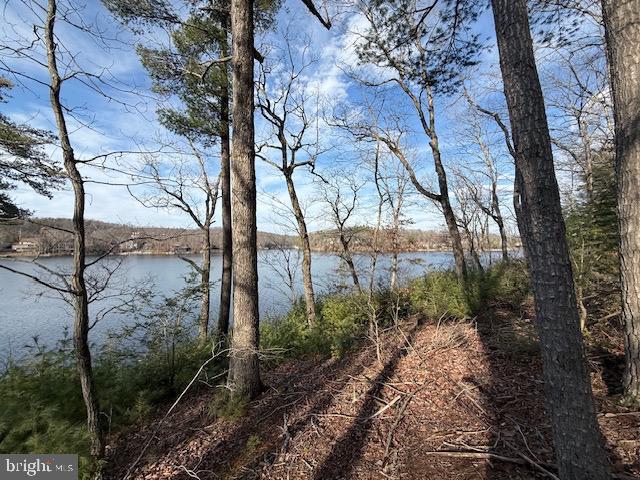 LAKE HOLIDAY ESTATES - Land