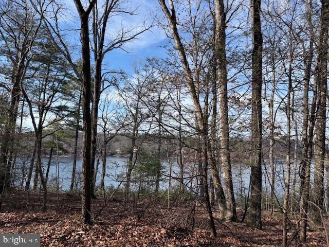 LAKE HOLIDAY ESTATES - Land