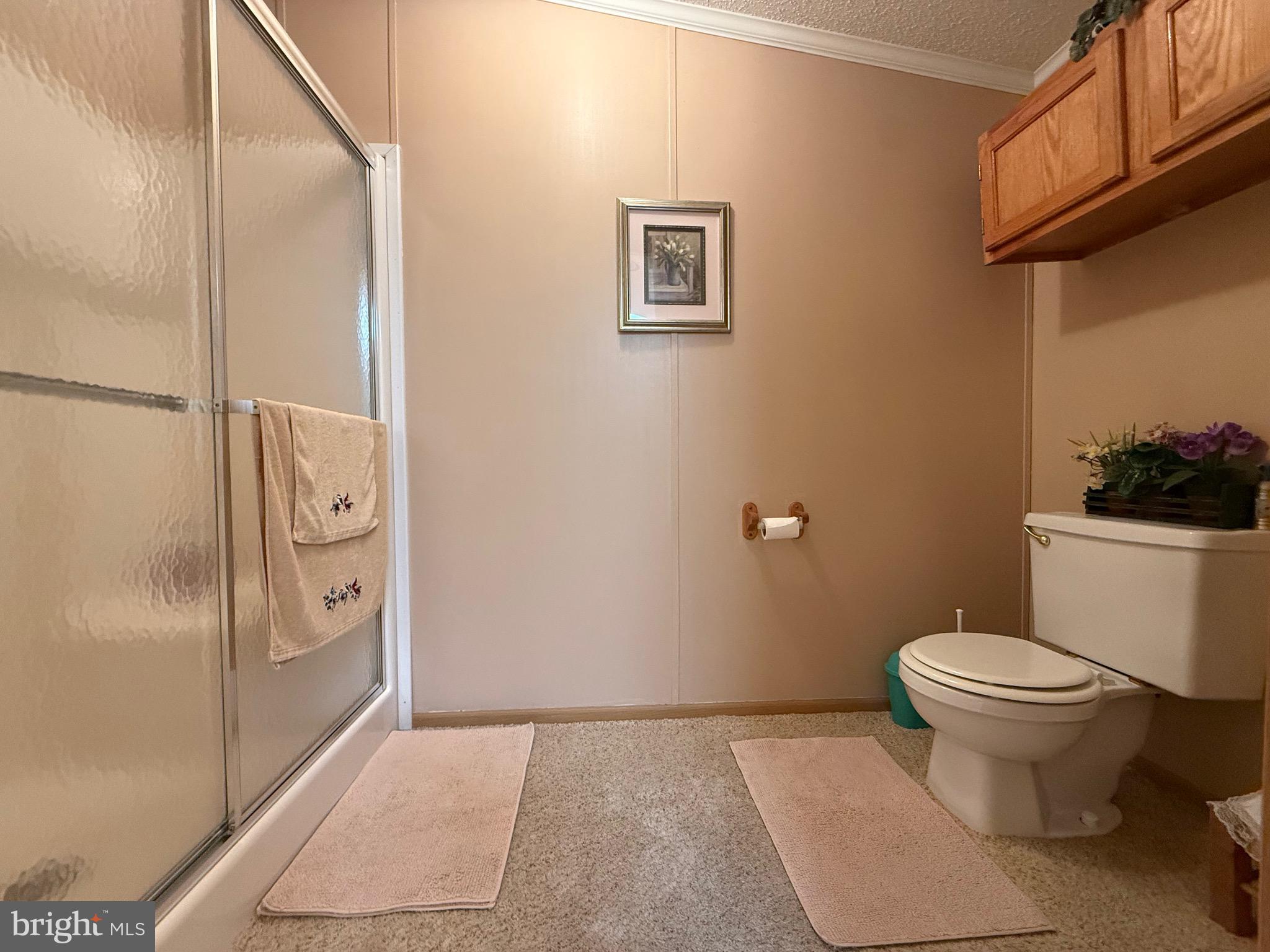 SHADOWSTONE VILLAGE - Residential