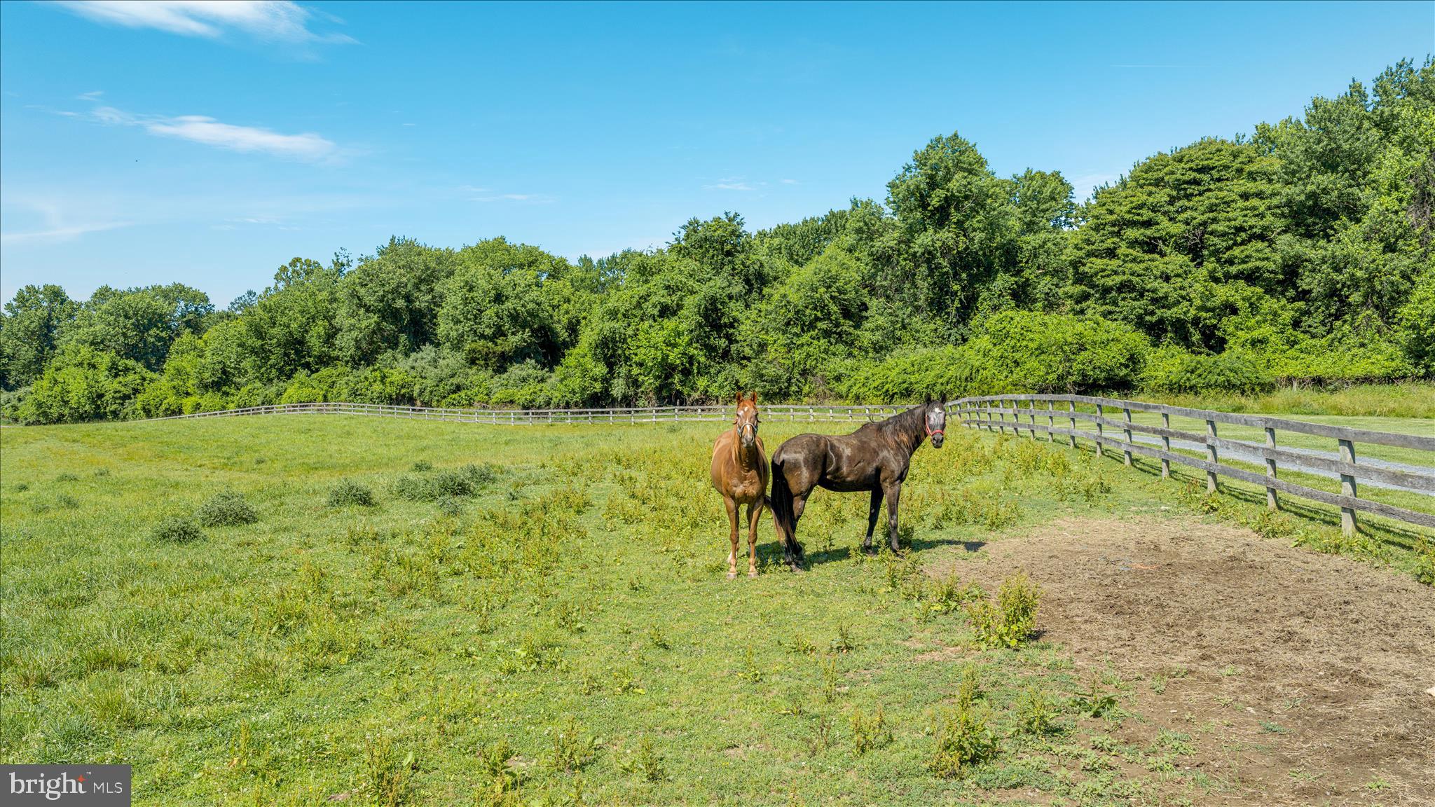 AVON BEND - Farm