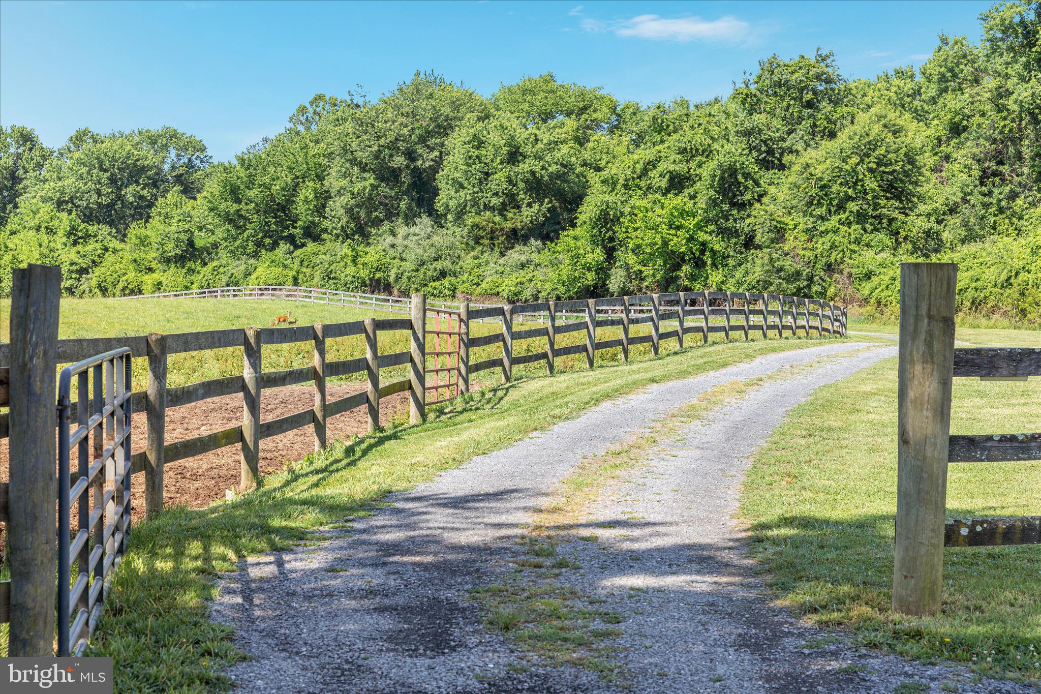 AVON BEND - Farm
