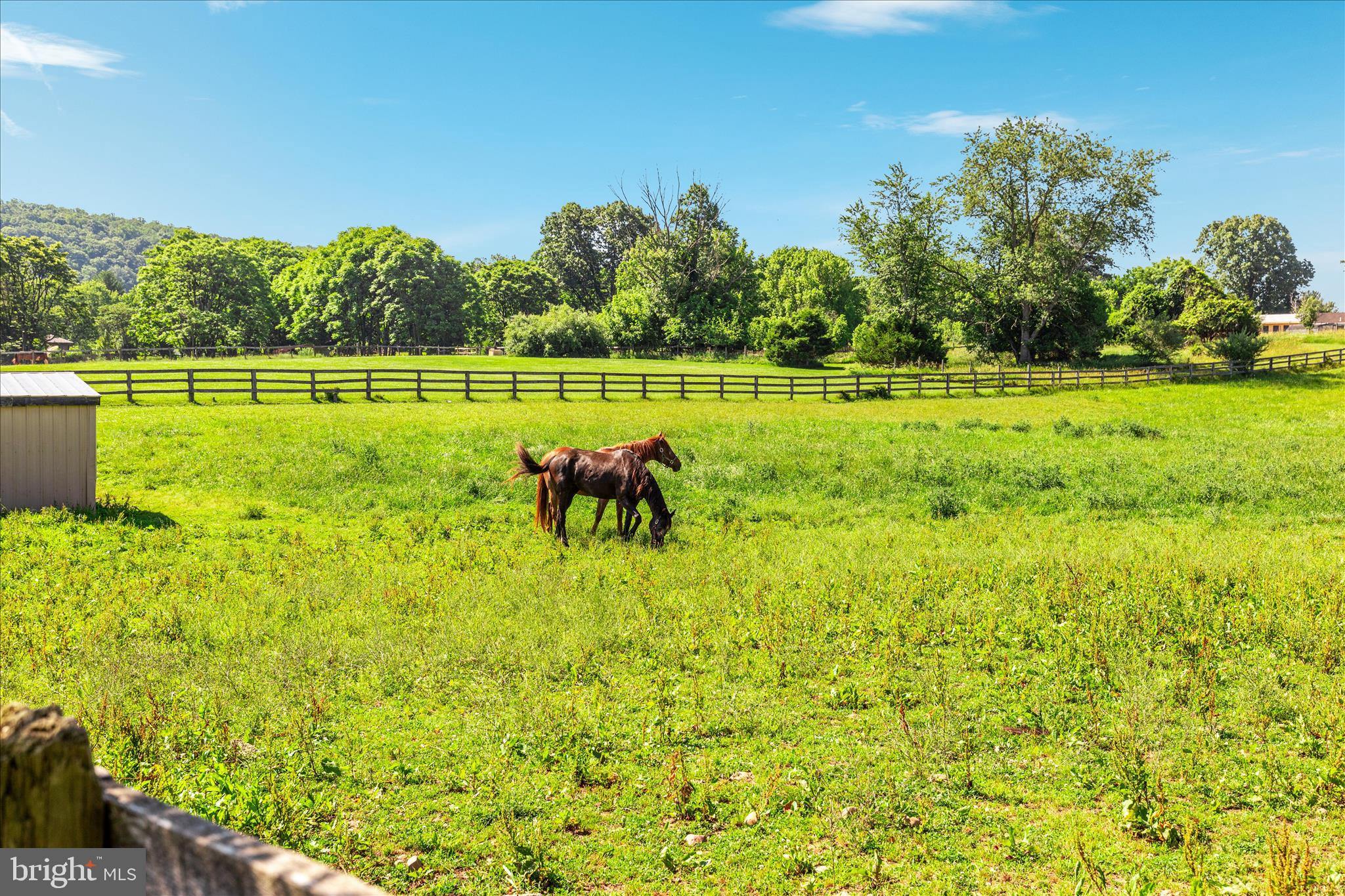 AVON BEND - Farm