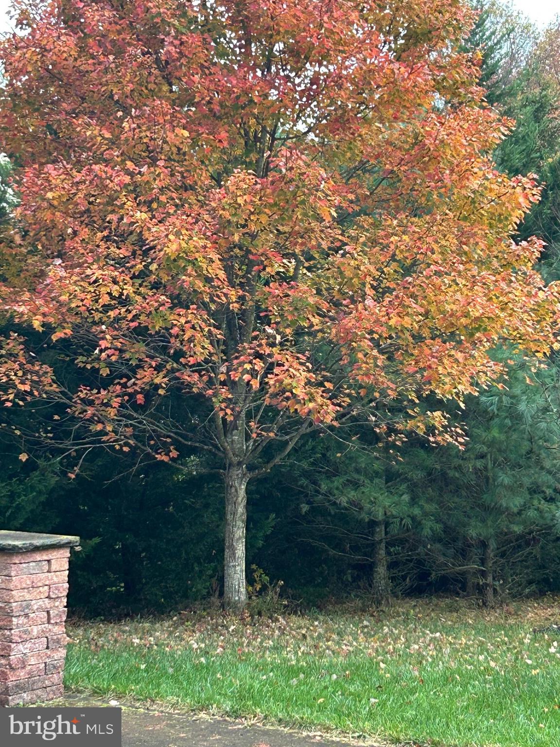 NORTHERN ESTATES - Residential