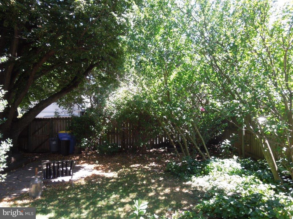 ELMWOOD - Residential