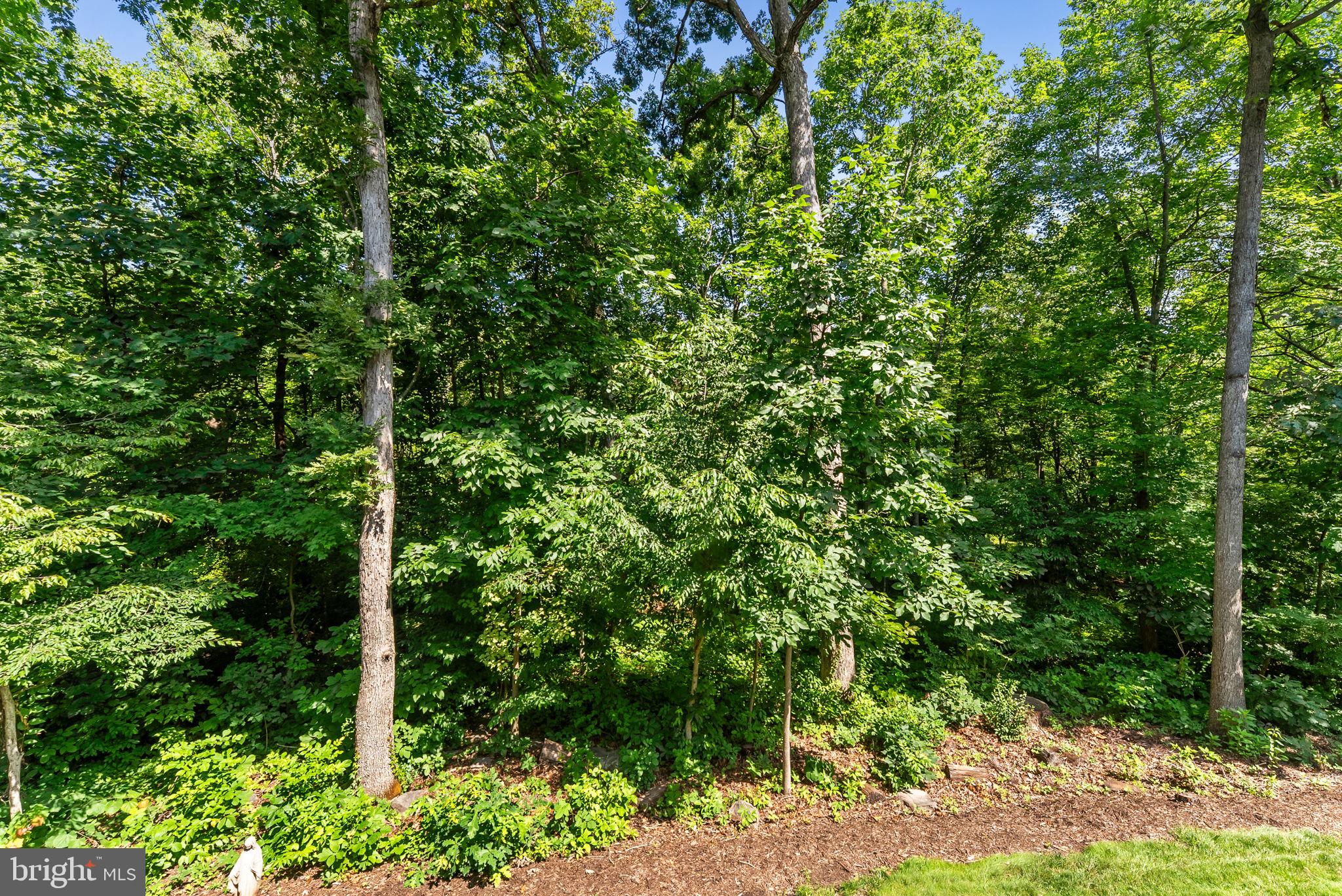 LITTLE ROCKY RUN - Residential