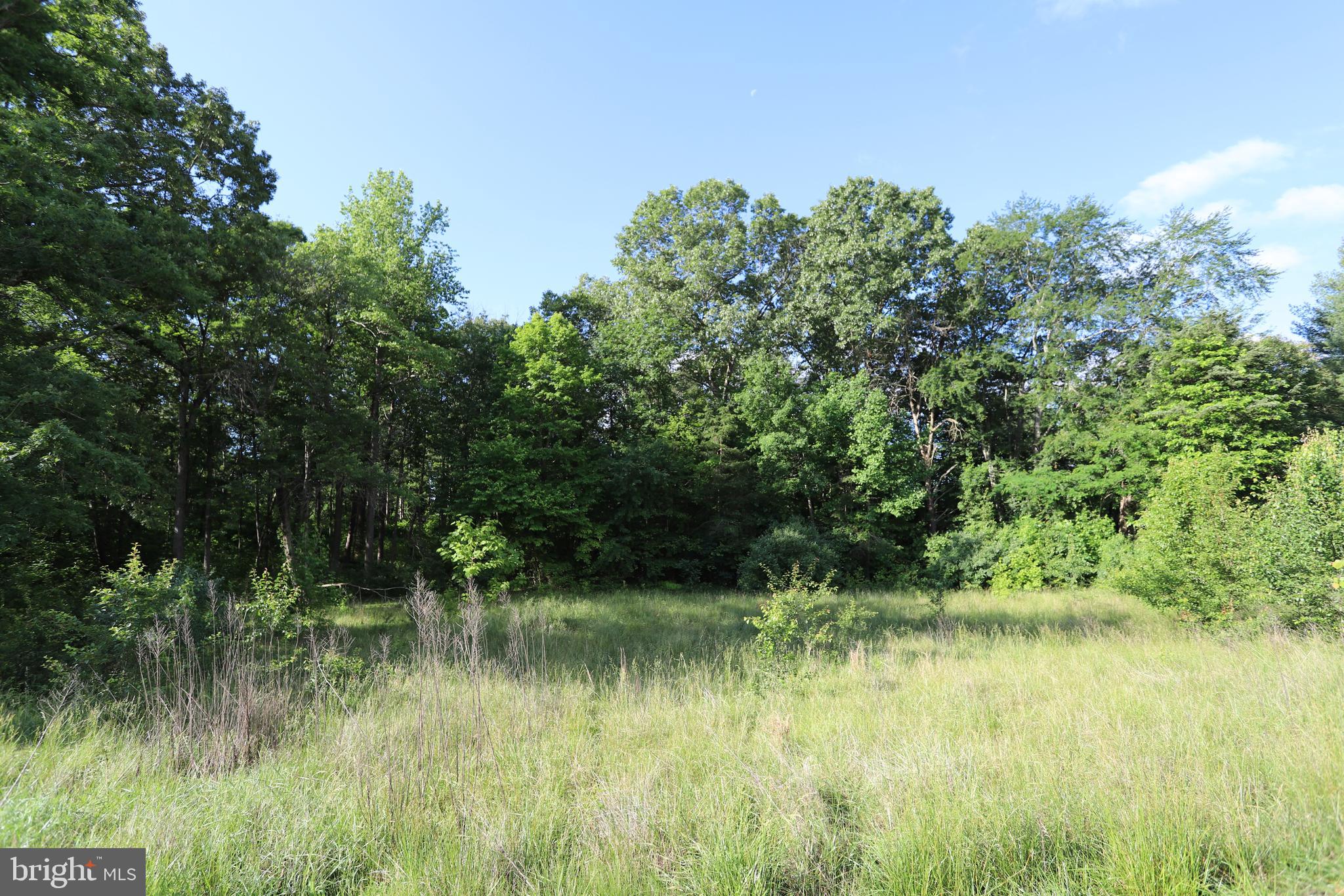 Gorgeous 5+ Acre Lot! Close to town and offering so many options! 2 Lots in 1!  County Planning and Zoning has indicated that the lot can be divided via a family division. Lot is level and boasts a blend of hardwoods and native trees.  Property is serviced via a private road - Turner Lane.  Minutes from all Culpeper has to offer, but miles from ordinary.  Natural Gas and Xfinity may be available. Owner currently in the process of conducting a perc test and locating two potential drain field sites. If you are looking for a lot with division potential in a more than convenient location, this parcel is simply not to be missed!!!