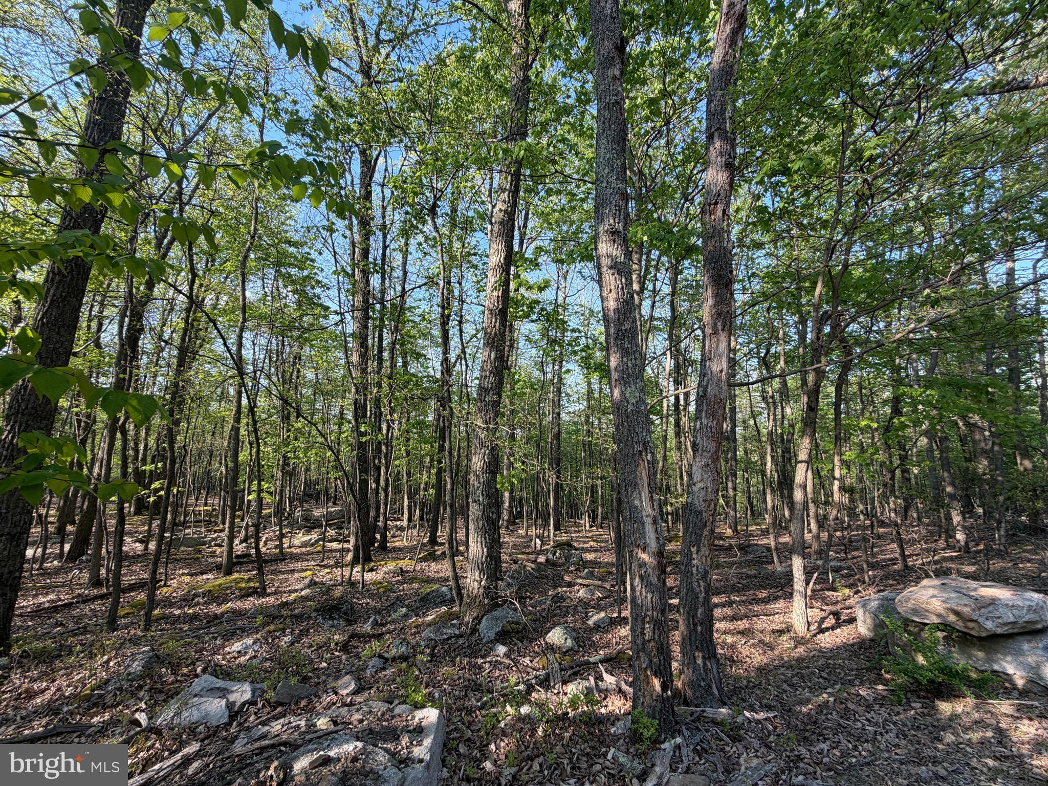 Cove Village is situated in the foothills of the Poconos and only 1 1/2 hours to New York.  Situated at the edge of the community and bordered by community land, this lot is private and ready to make your dreams come true.  With easy access to I-81, your commute to Hazleton, Wilkes-Barre, or Scranton is a breeze.  Bring your own builder and let's make your dreams come true.   Your building costs are lower here since public water and sewer are already in place, ready for you to connect through Aqua of Pa.  Do you desire a cabin or home where you can hunt, fish, ATV, snowmobile, and more?  How does approximately 750 acres of unoccupied prime hunting, ATV, and snowmobile riding land sound to you?  Yes, that's right!  Adjoining the residential portion of Cove Village is just that for residents of the community and their guests!  Driving through the community, the peace and tranquility will envelop you.  The homes vary from rustic cabins, chalets, traditional ranch, two-story homes, exquisite new construction, and even dreamy mountain log homes.  There really is something for everyone.  The approximately 278 acres of residential homes and lots are occupied by full-time residents, part-time vacation homes, and even some snowbird second homes.  Cove Village is located in the mountains of Northeastern Pennsylvania and offers an abundance of amenities including a swimming pool, stocked fishing lake, a basketball court, tennis courts, a volleyball court, 2 playgrounds, a baseball field, ATV paths, hunting, a mini golf course, walking paths, and year-round Community events.  I can't forget to mention the beautiful lodge ideal to rent for family gatherings.   This lot and community just might be exactly what you've been looking for.  Air B and B are not permitted. Camping on vacant lots is not permitted.  Mobile homes are not permitted.  The community maintains the roads and snow removal.  Trash collection is also provided.   An appointment is required to view due to the gated community.  Call to schedule your tour today!