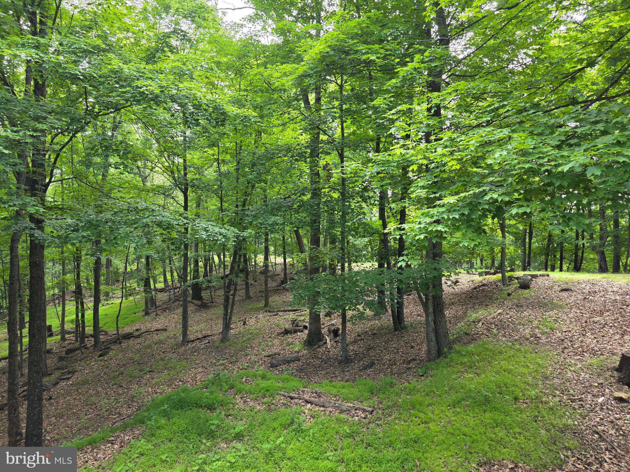 BUCK RIDGES (FORMERLY TREASURE MOUNTAINS) - Residential