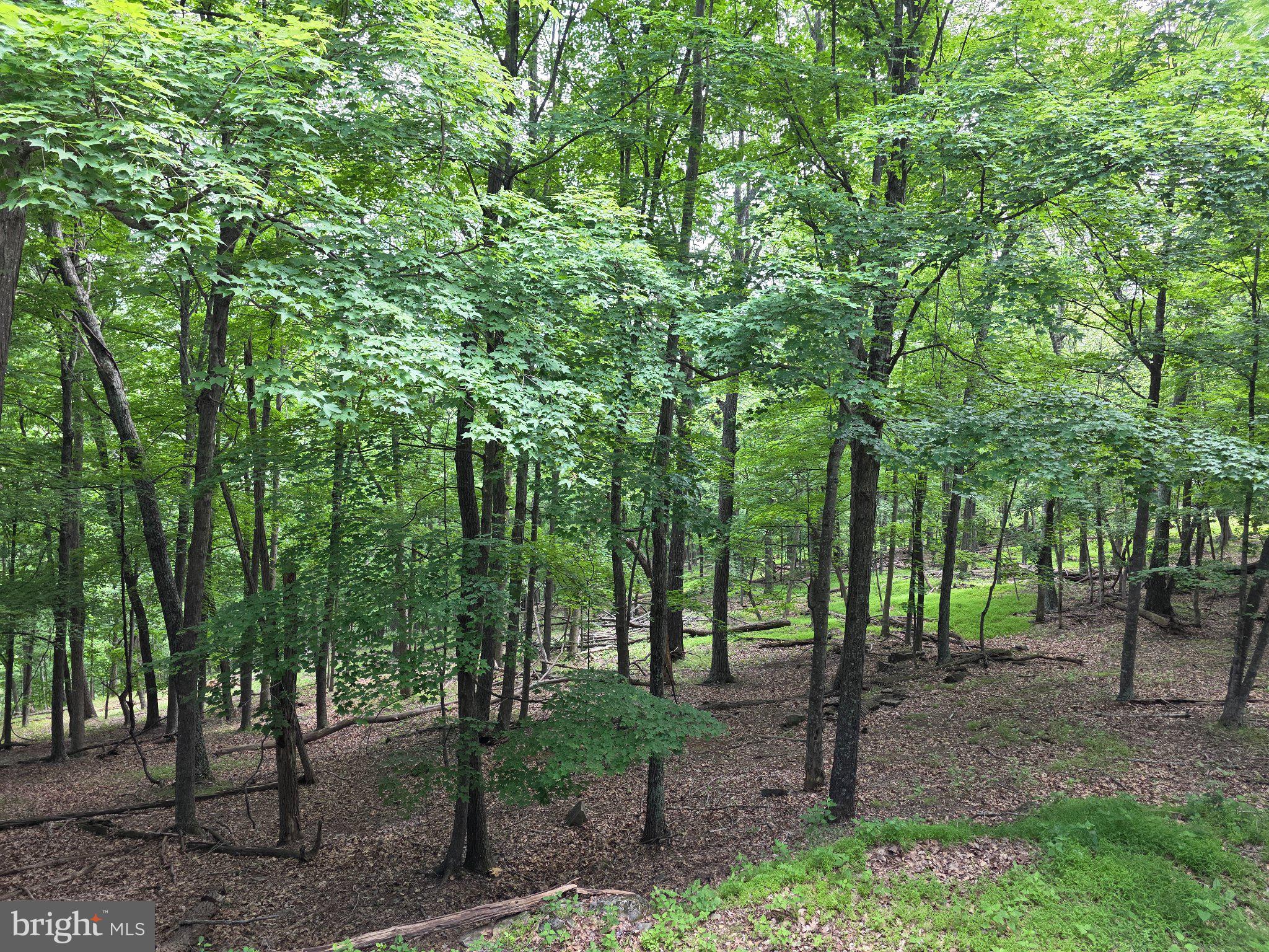 BUCK RIDGES (FORMERLY TREASURE MOUNTAINS) - Residential