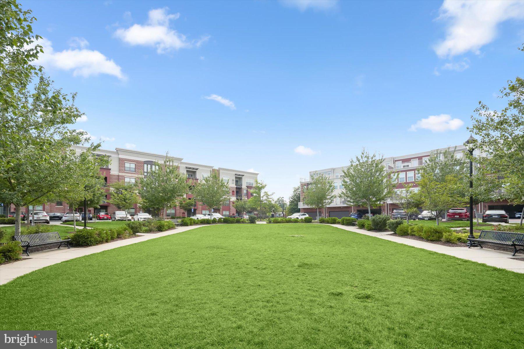 MOUNT VINEYARD - Residential