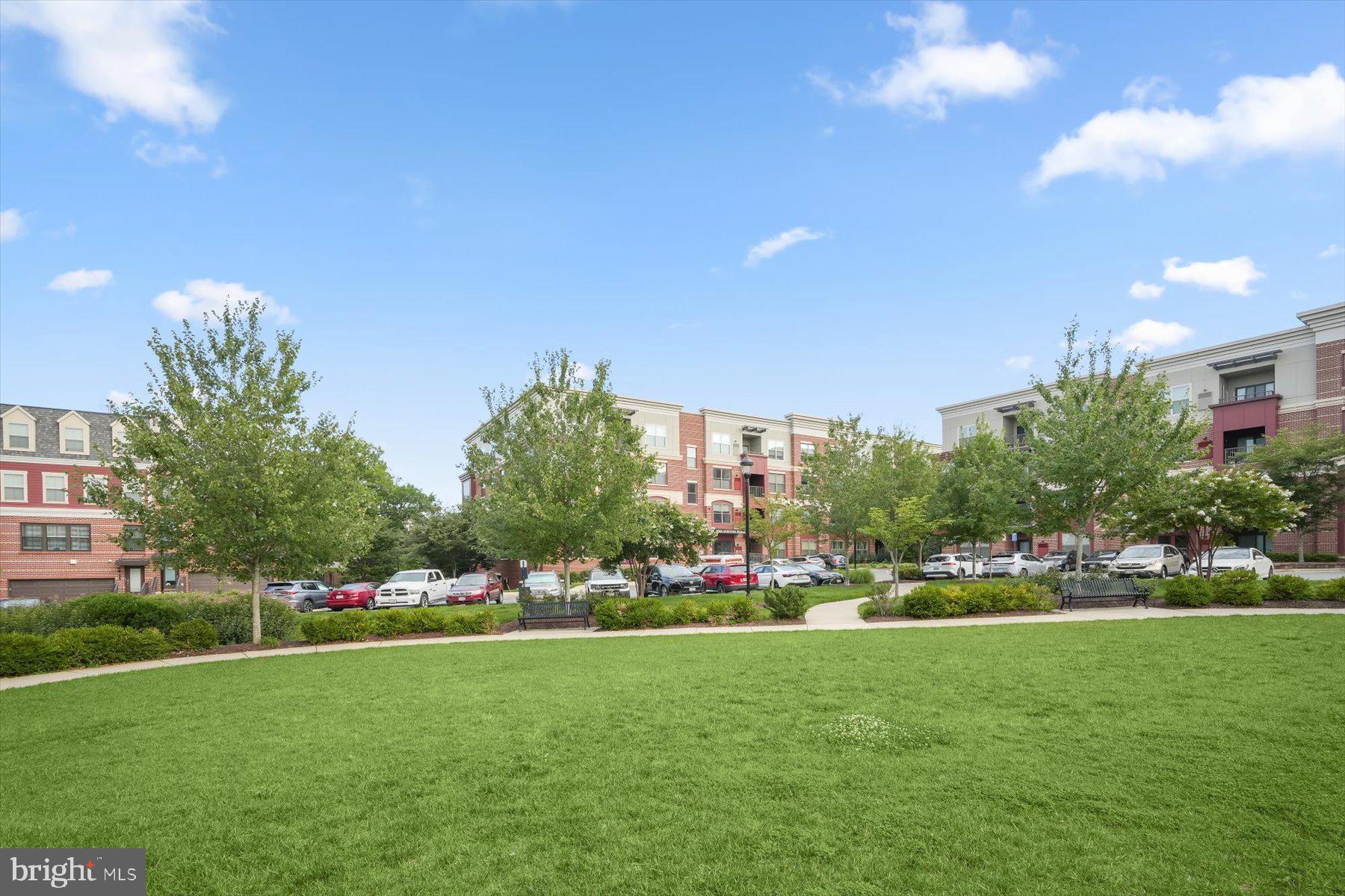 MOUNT VINEYARD - Residential