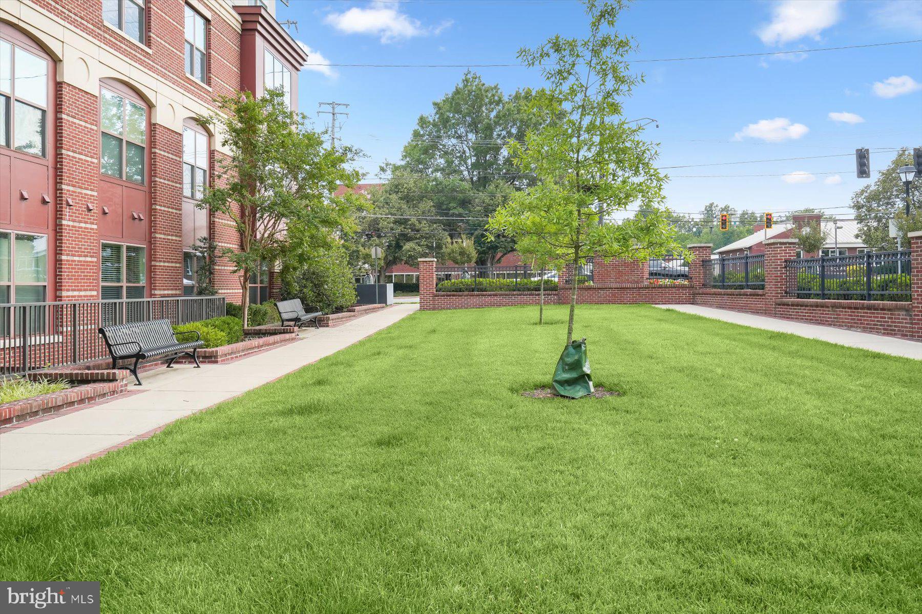 MOUNT VINEYARD - Residential