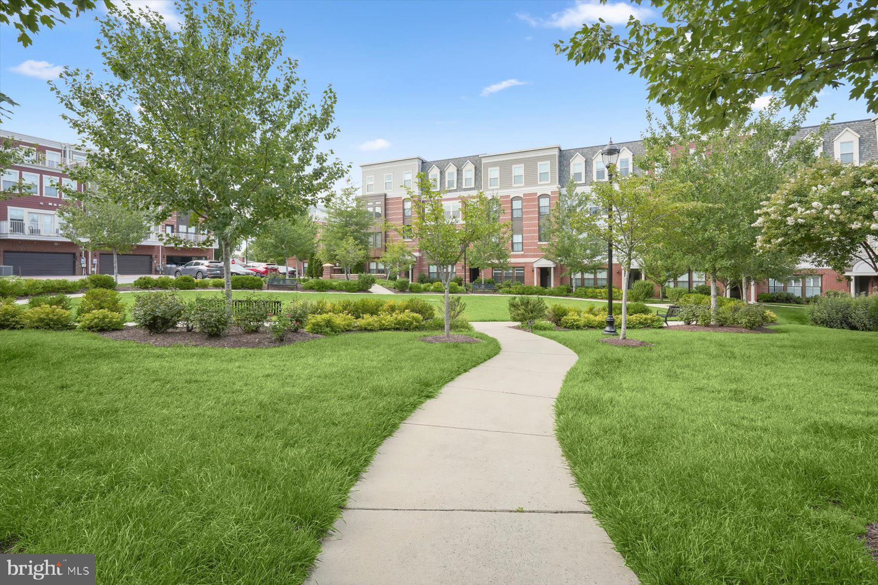 MOUNT VINEYARD - Residential
