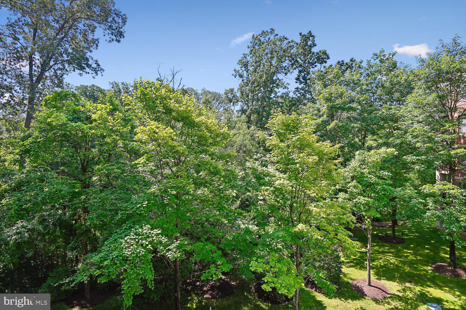 MCKINSEY PARK - Residential