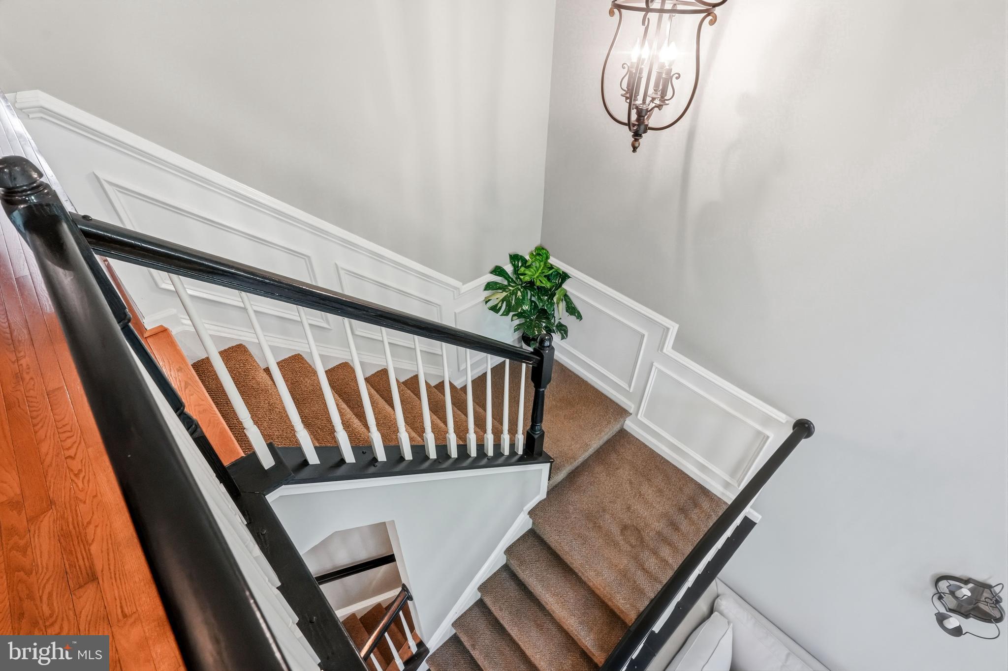 BRANDYWINE @ THORN - Residential