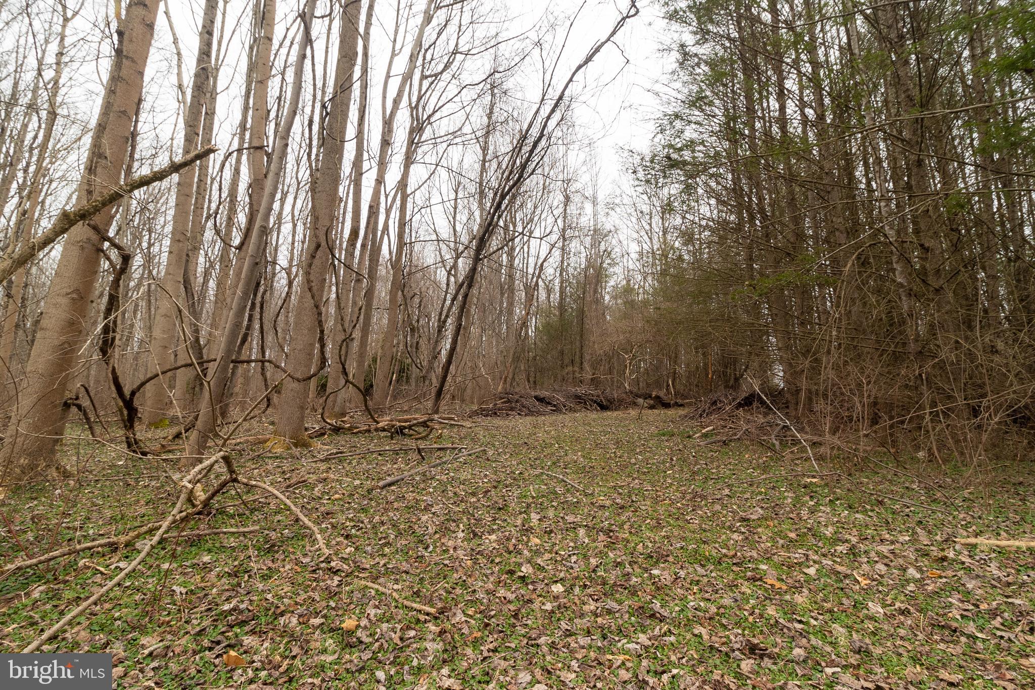 PT OLNEY OUT RES 3 - Land