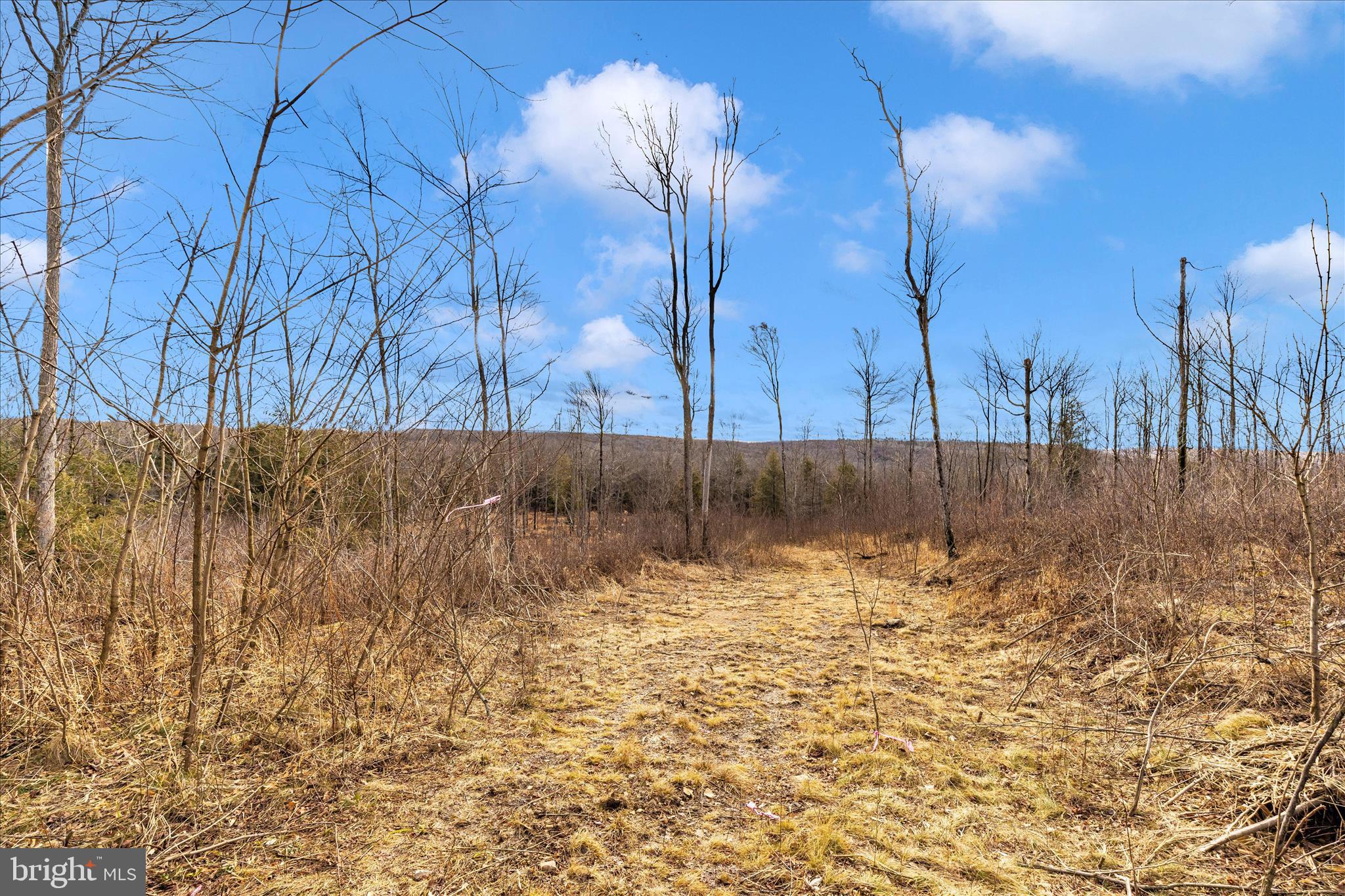 Exceptional private land opportunity in the heart of Lilly, PA. This 13.772-acre parcel offers an ideal setting to build your dream home amidst nature at its finest. The property presents endless possibilities, whether you envision creating a serene weekend retreat or developing it as a versatile recreational space. A rare chance for new owners to secure a remarkable piece of land in a picturesque location. Schedule your showing today!