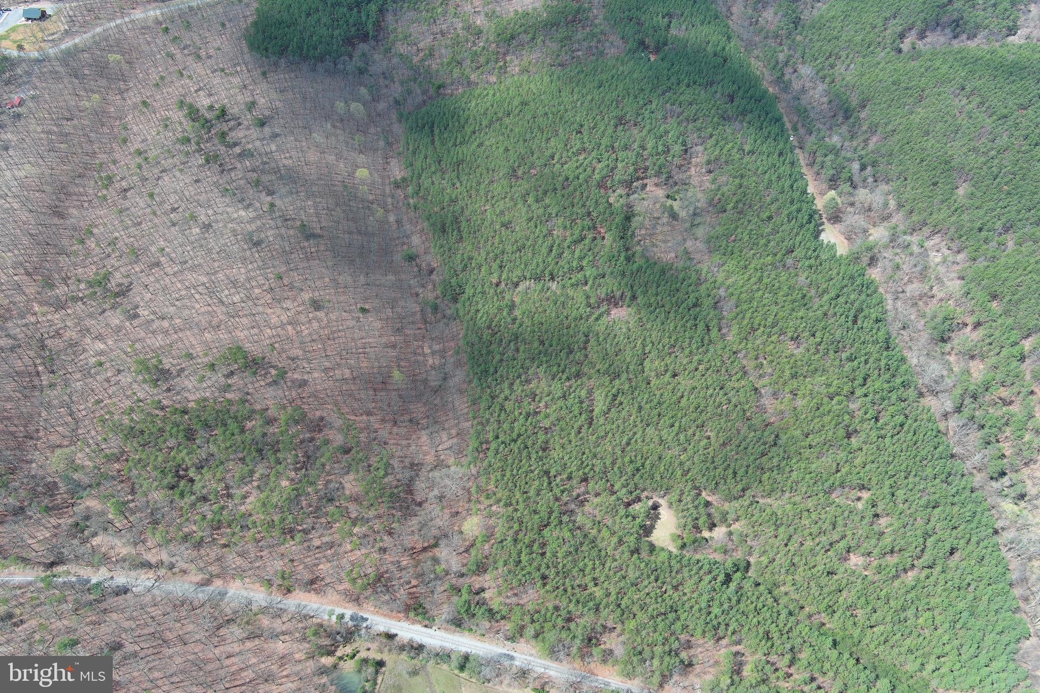 ASHBY FOREST - Land