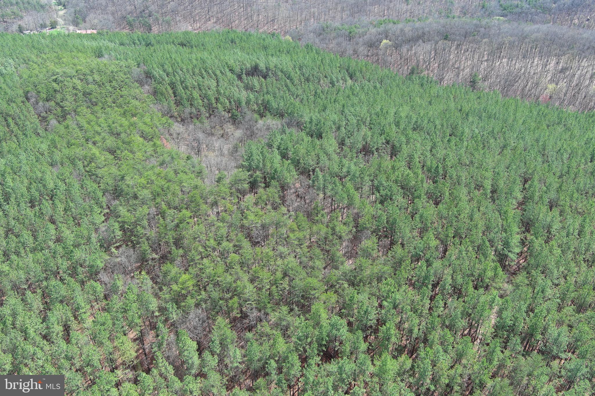 ASHBY FOREST - Land