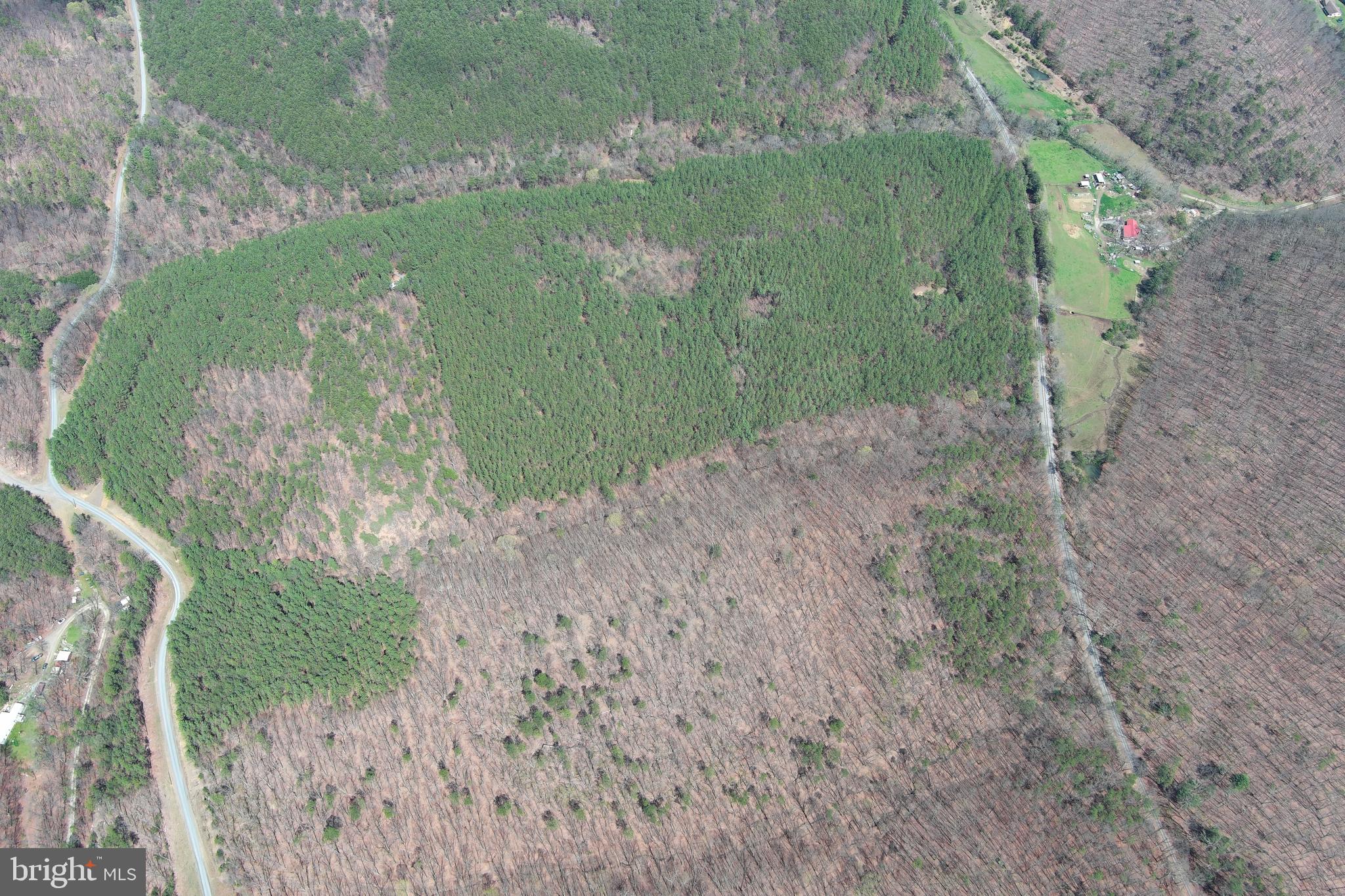ASHBY FOREST - Land