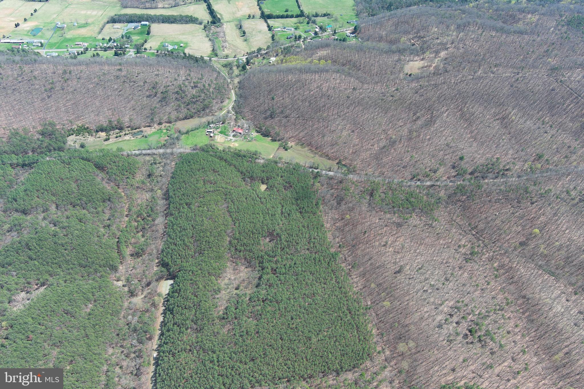 ASHBY FOREST - Land