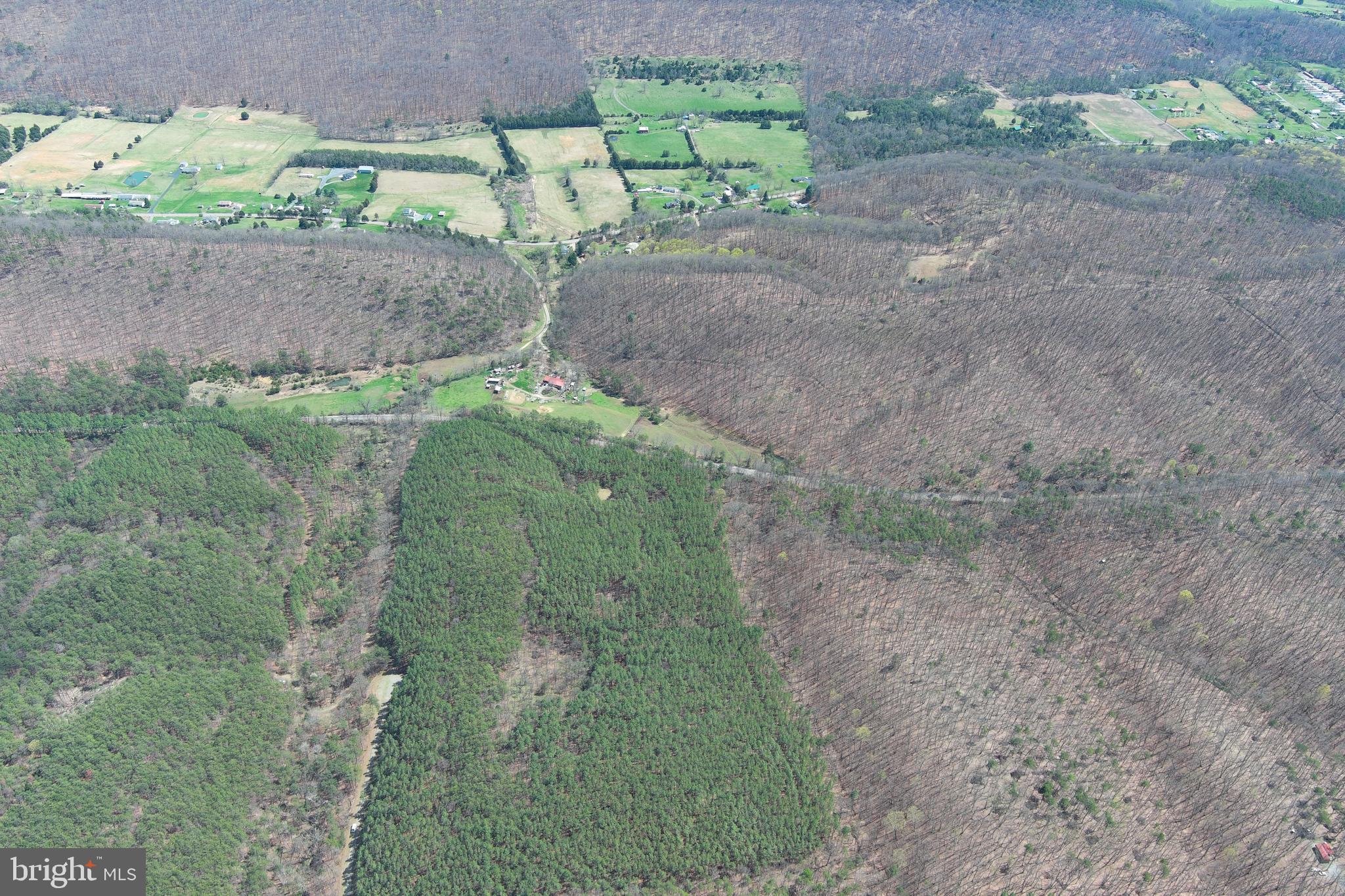 ASHBY FOREST - Land