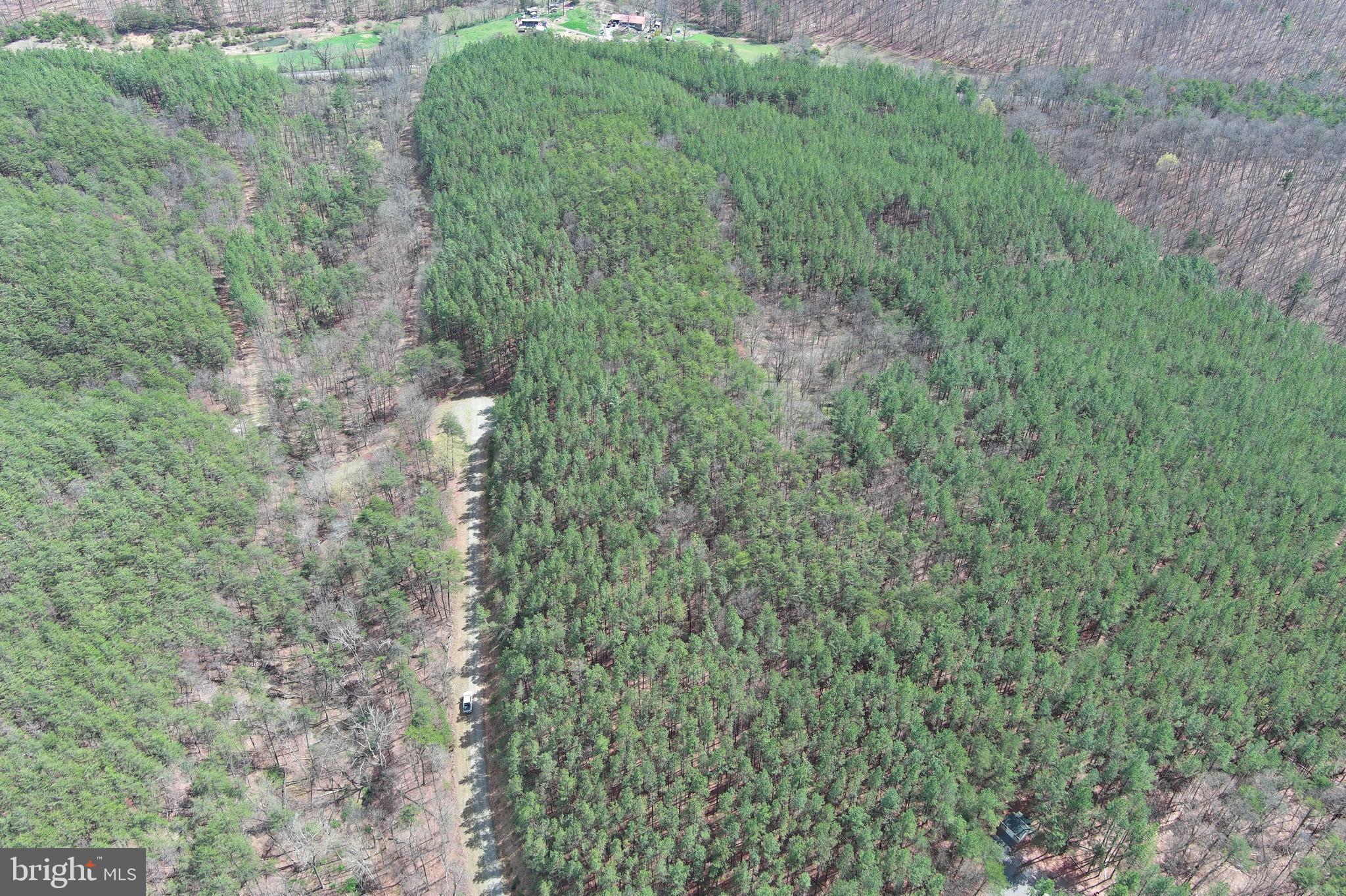 ASHBY FOREST - Land