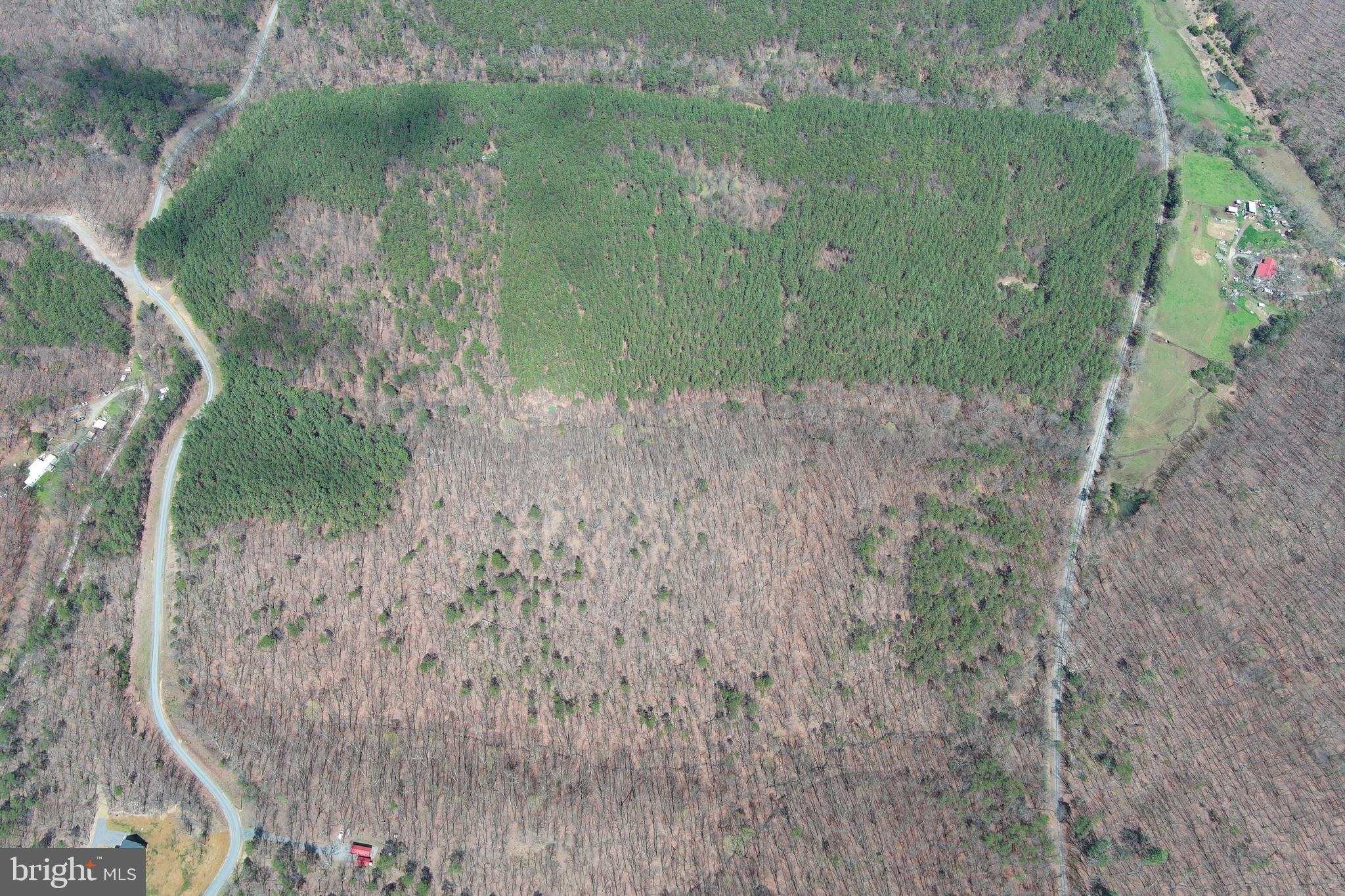ASHBY FOREST - Land