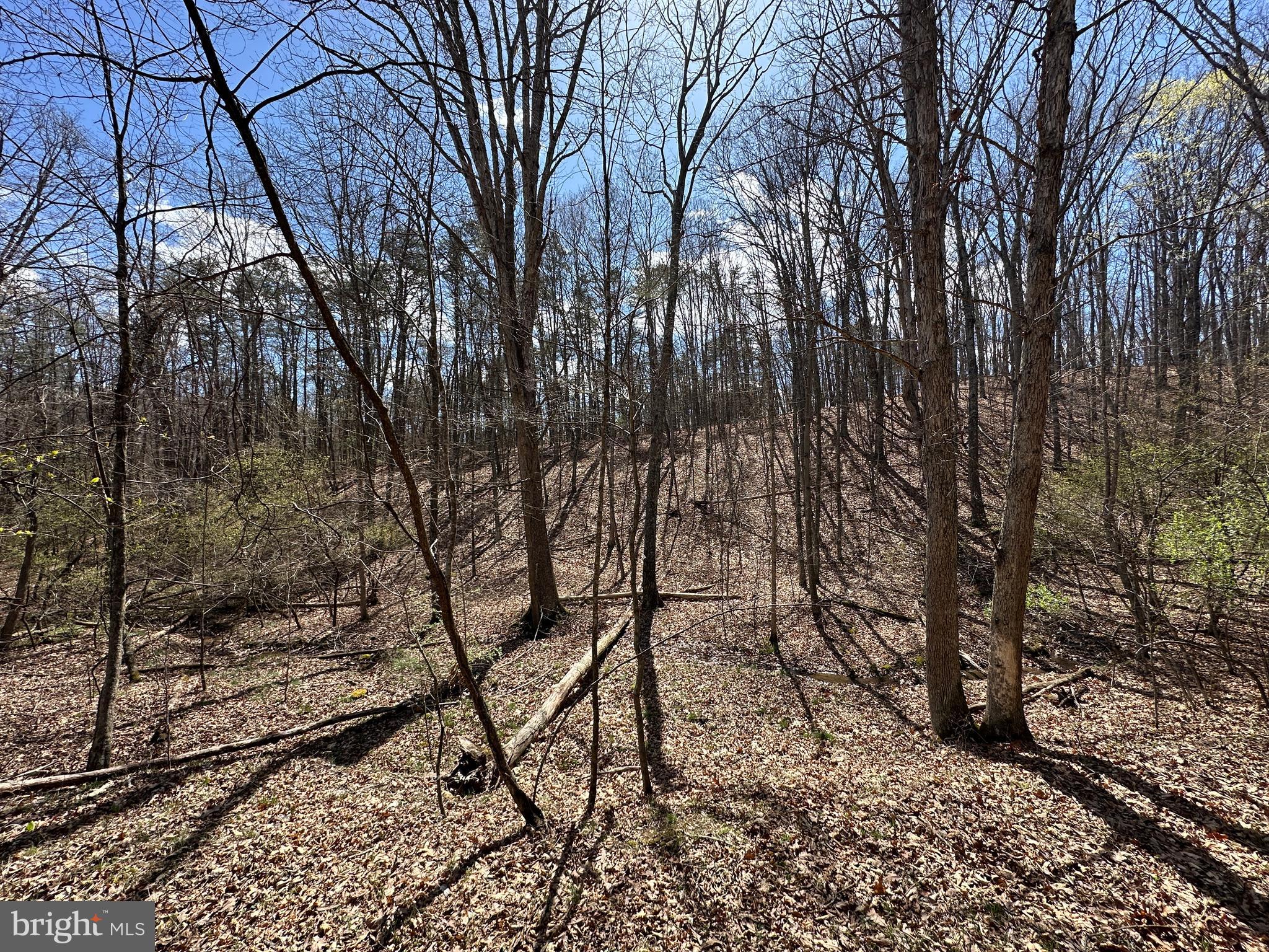 ASHBY FOREST - Land