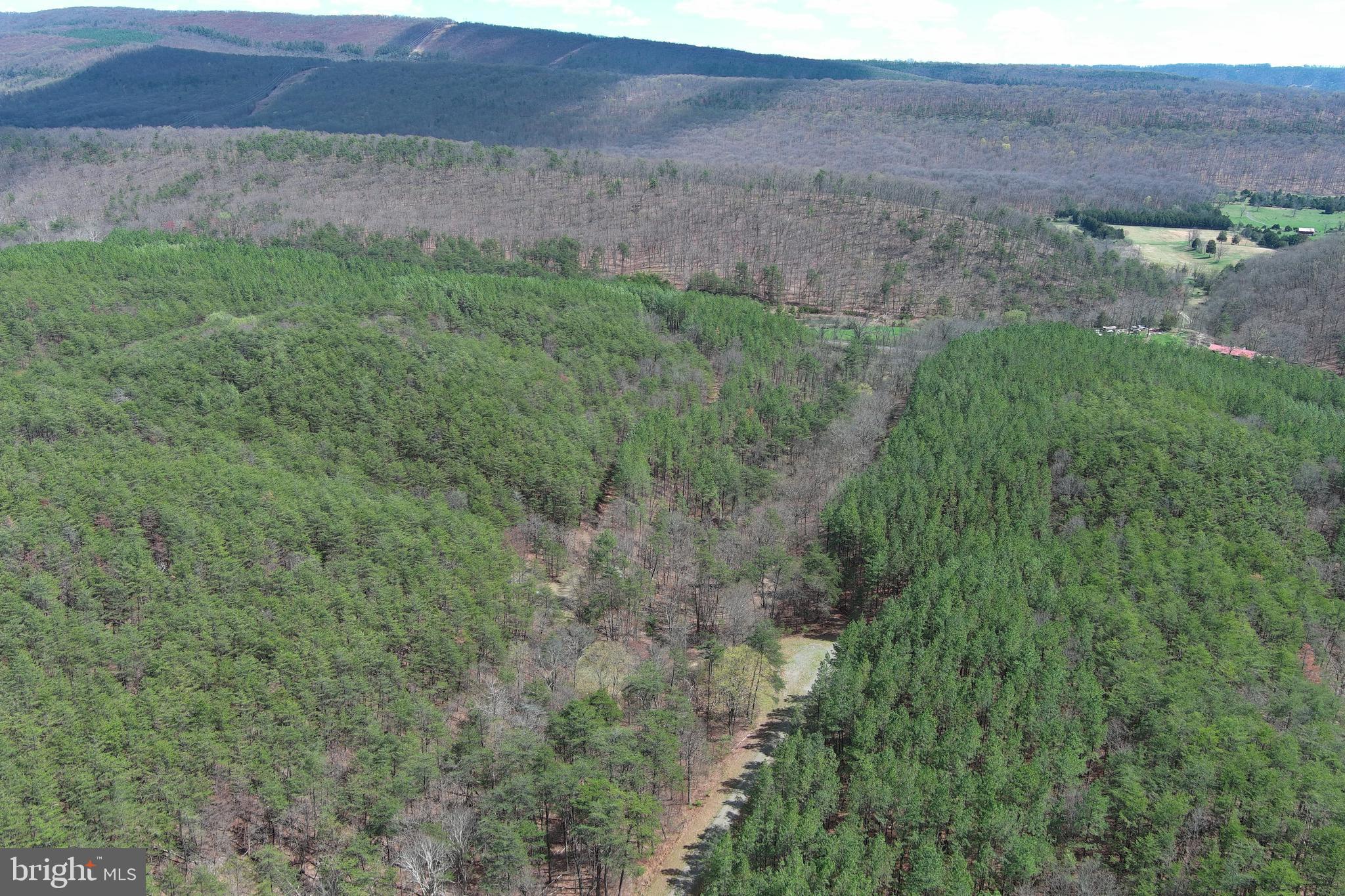 ASHBY FOREST - Land