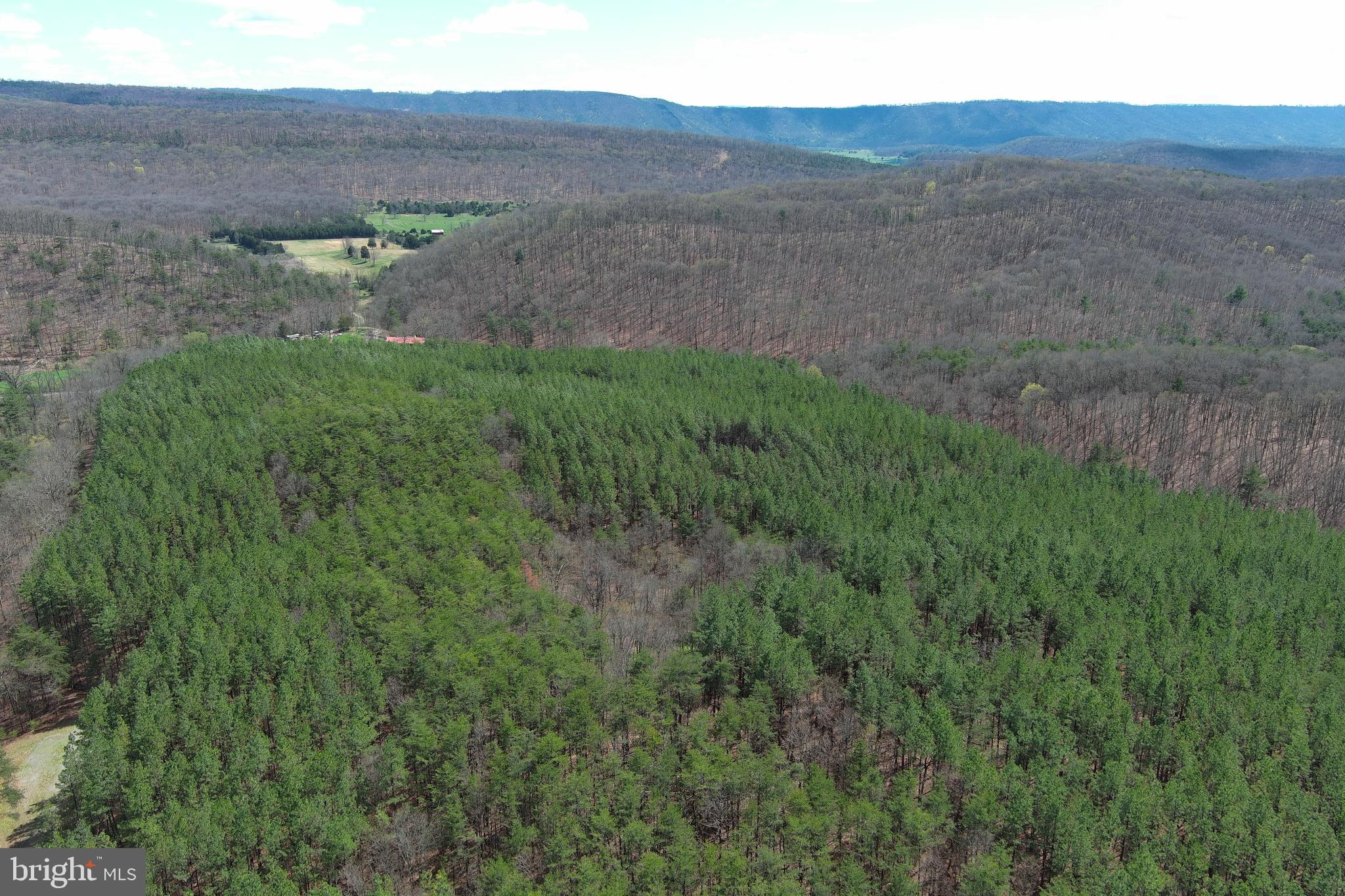 ASHBY FOREST - Land