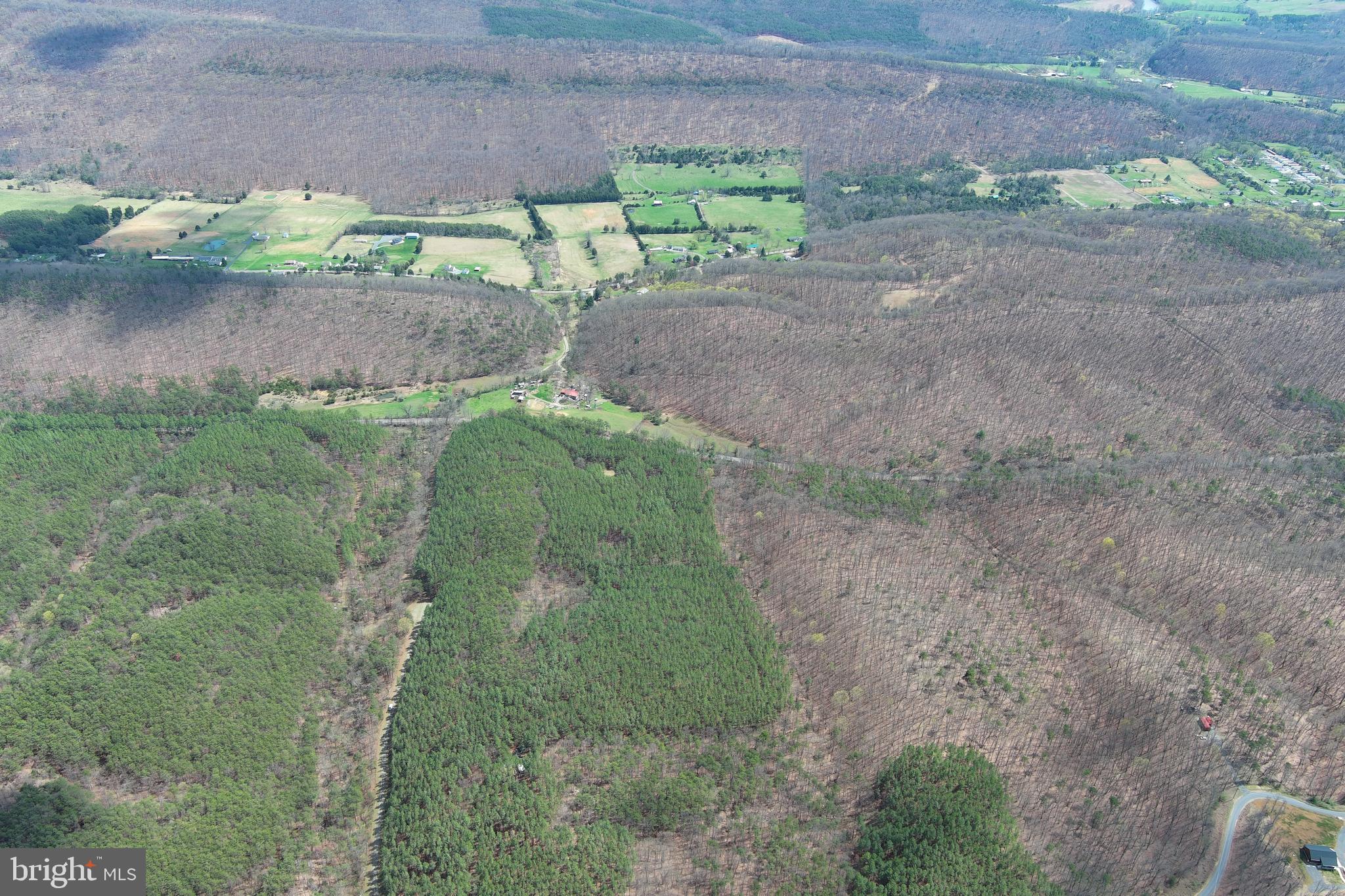 ASHBY FOREST - Land