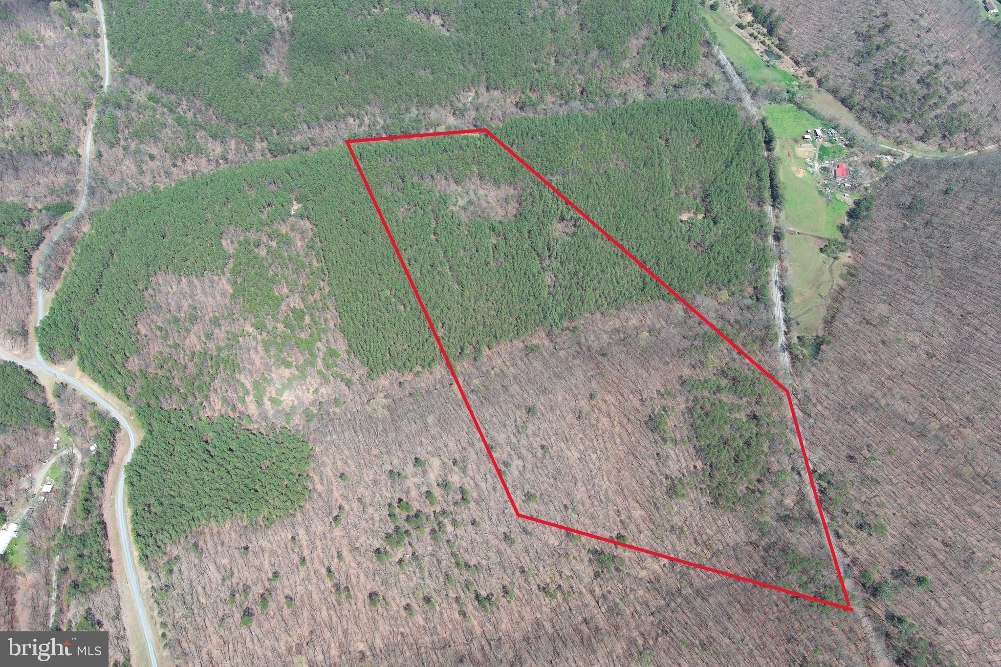 ASHBY FOREST - Land