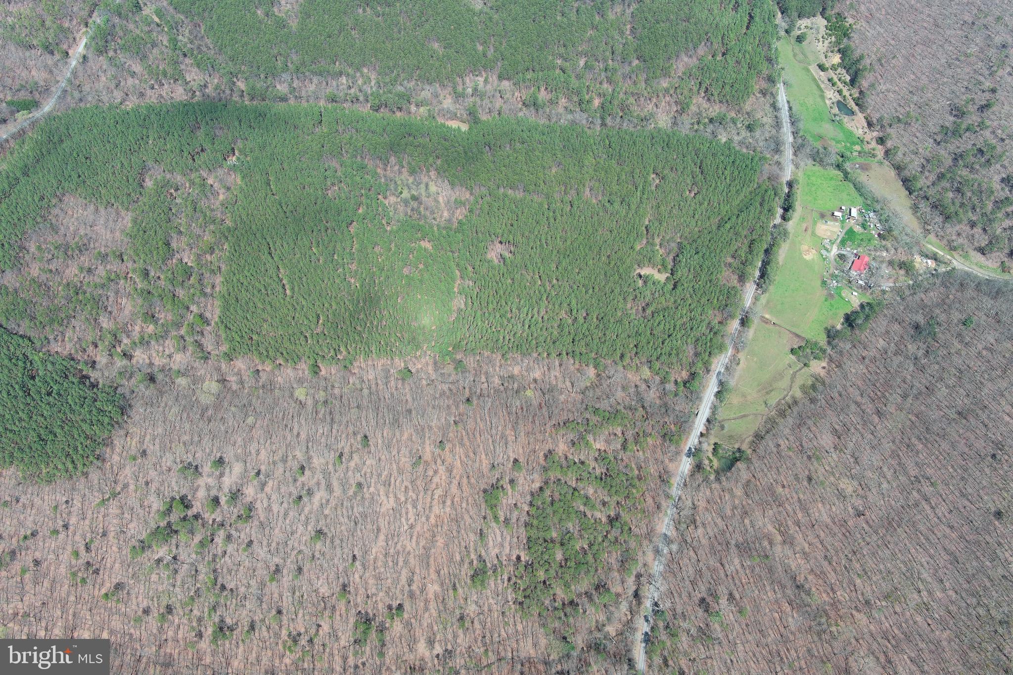 ASHBY FOREST - Land