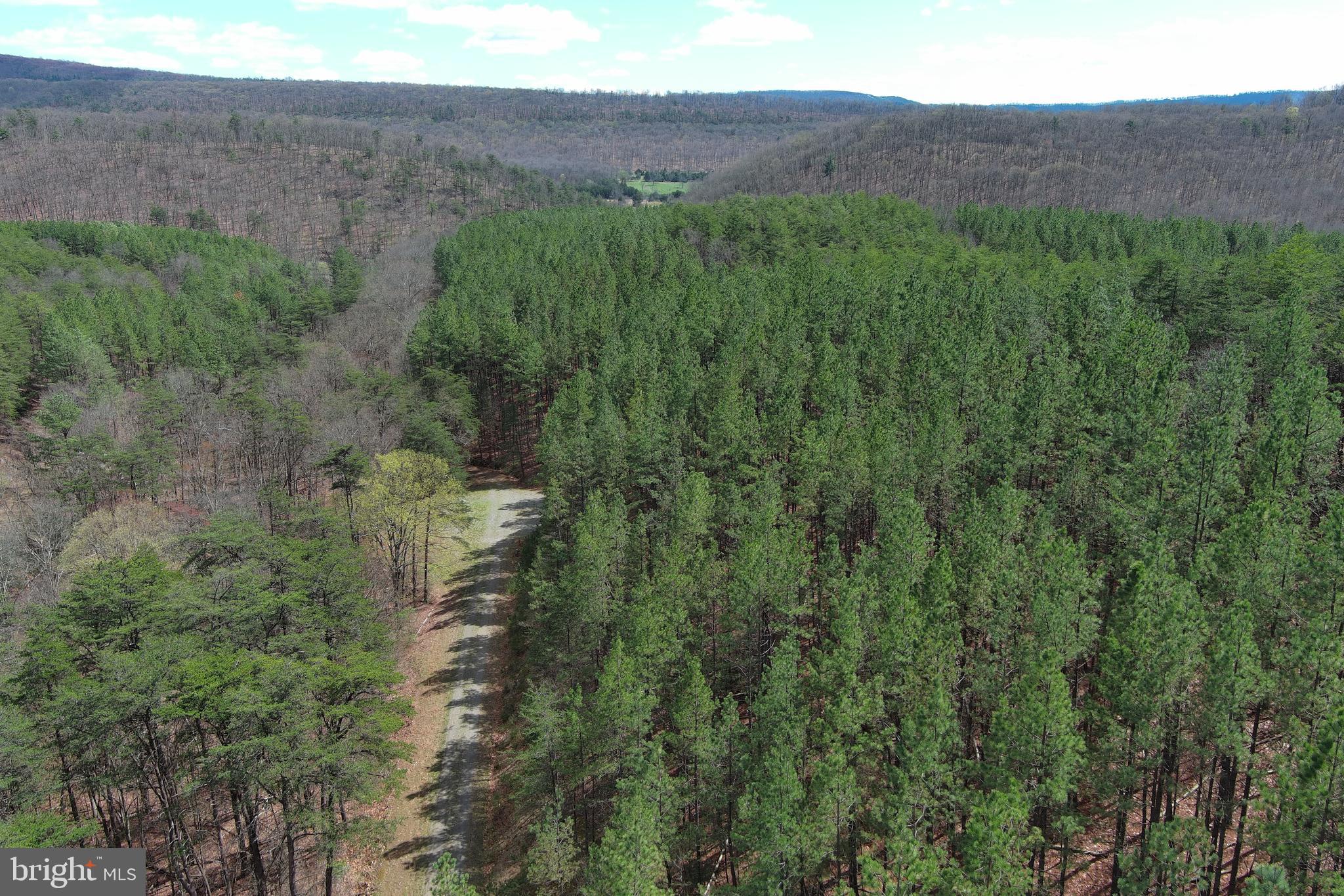 ASHBY FOREST - Land