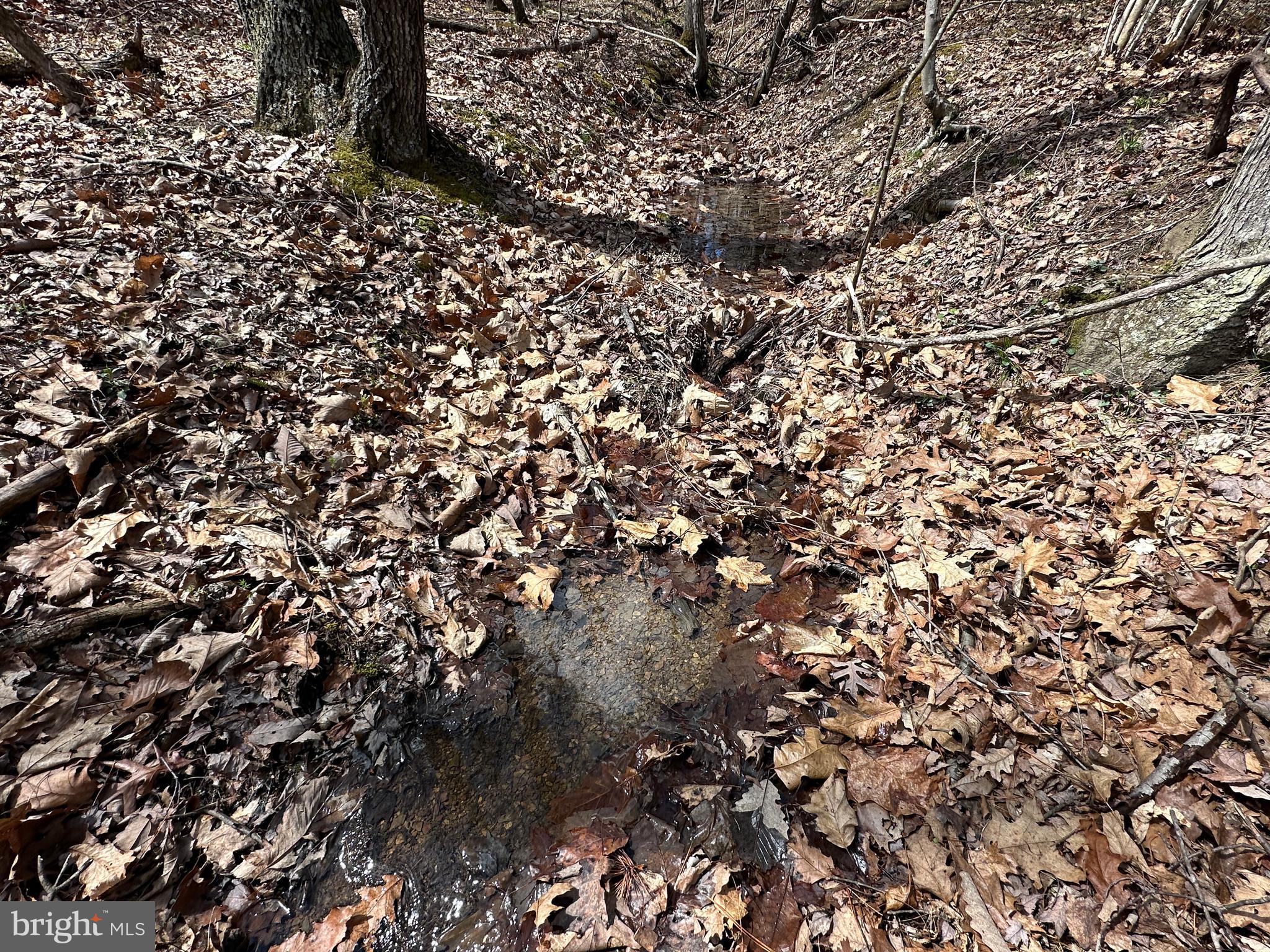 ASHBY FOREST - Land