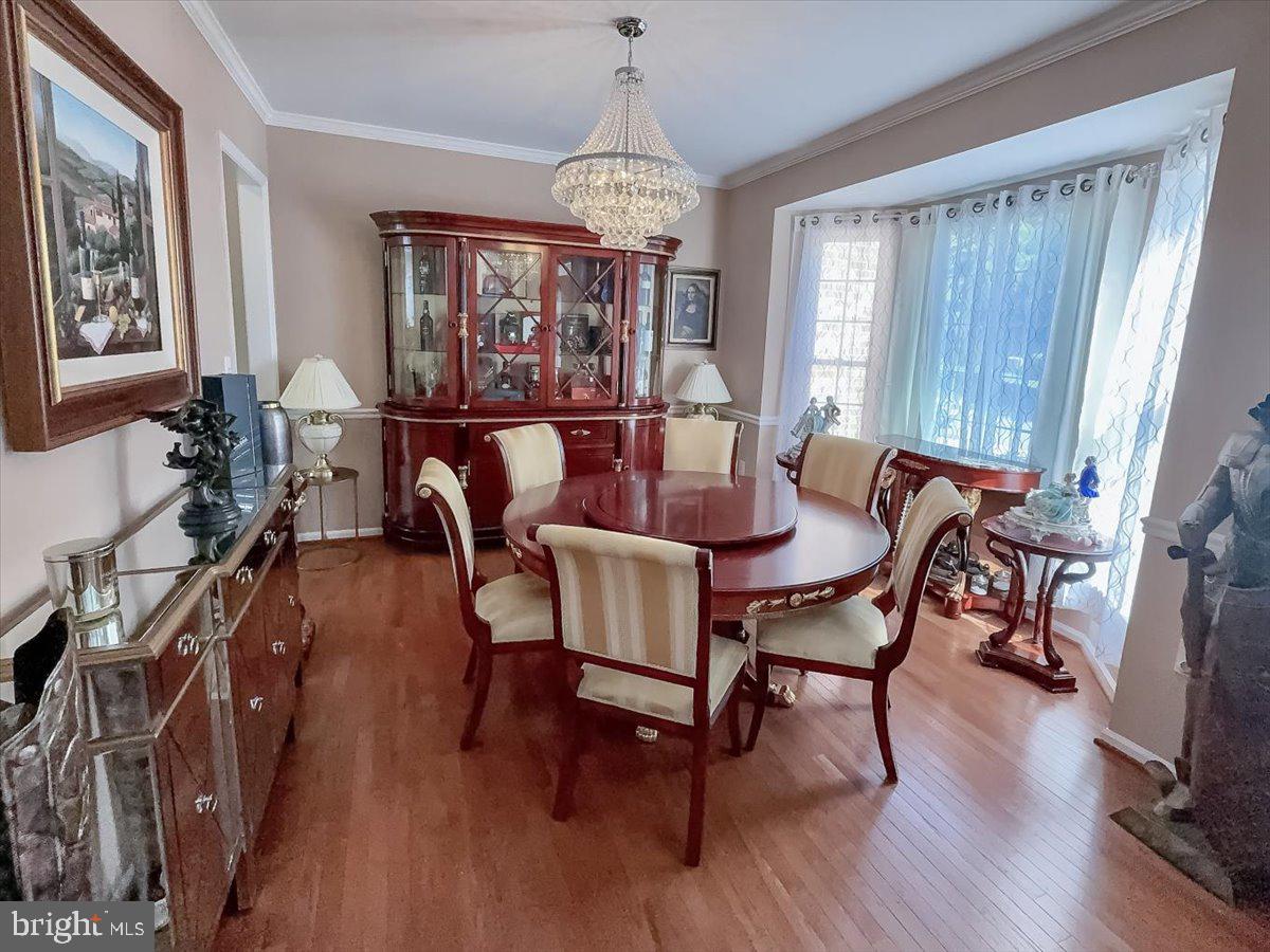 POTOMAC HUNT - Residential